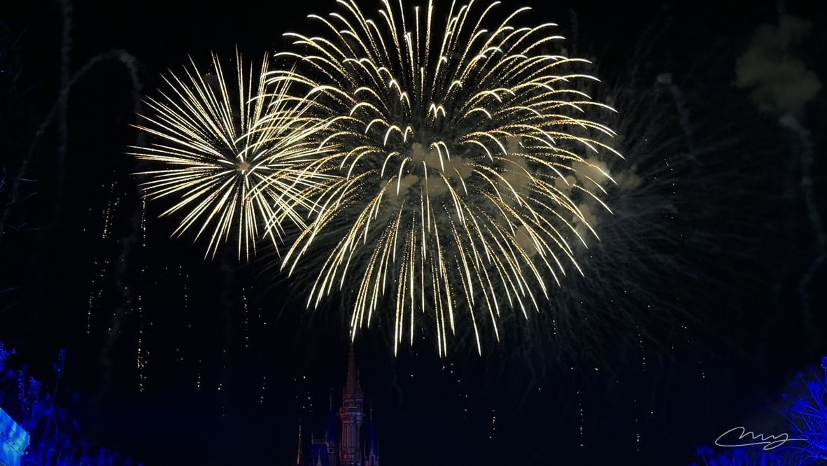 Disney World