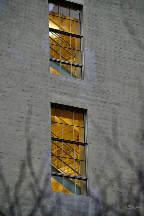 The High Line
