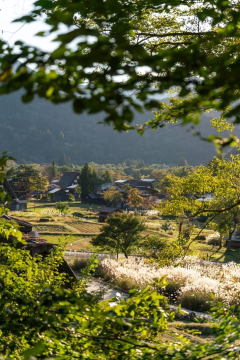 白川郷 (시라카와고)
