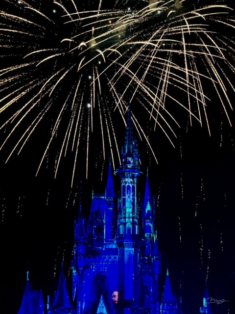 Disney World
