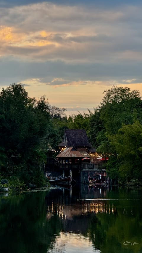 Disney World