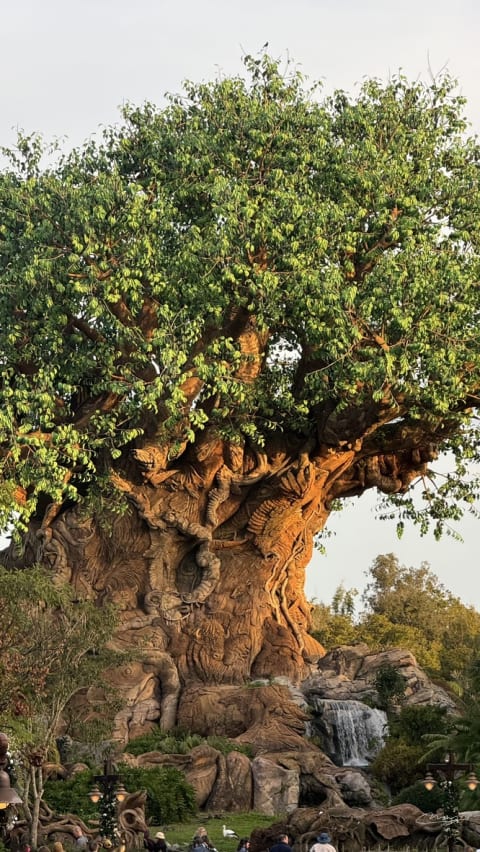 Disney World