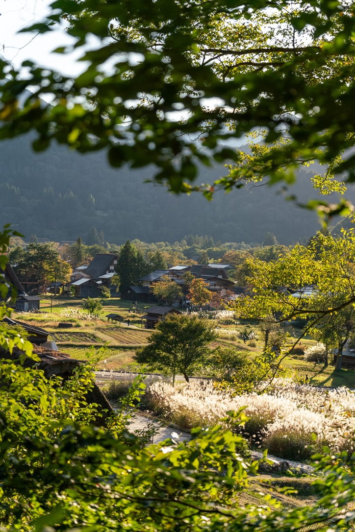 白川郷 (시라카와고)