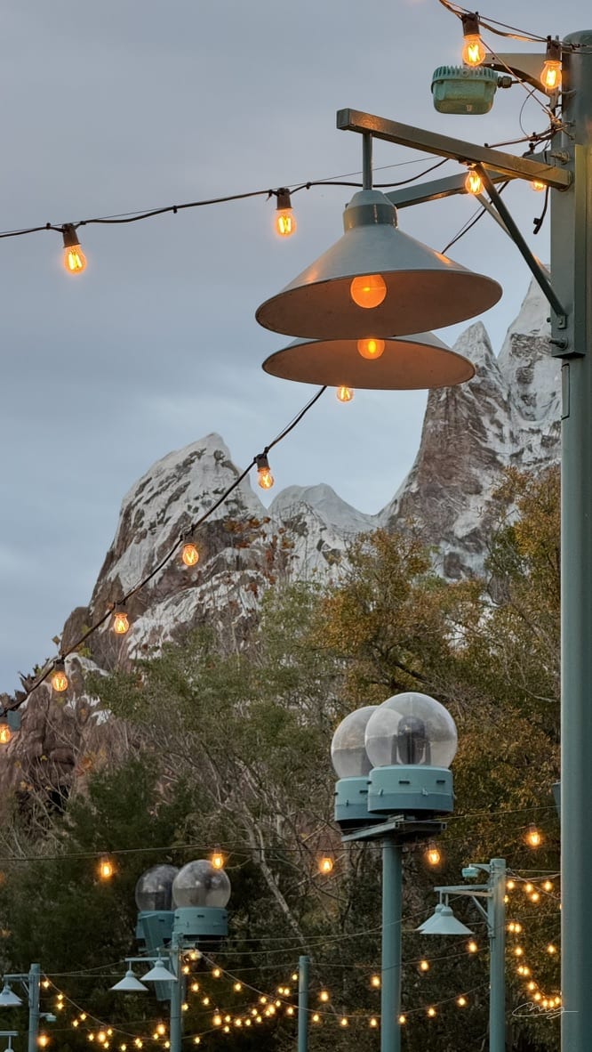 Disney World