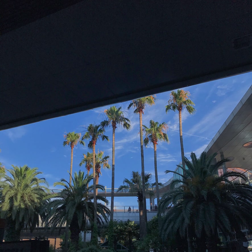 Jeju International Airport