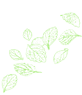 Your Image
