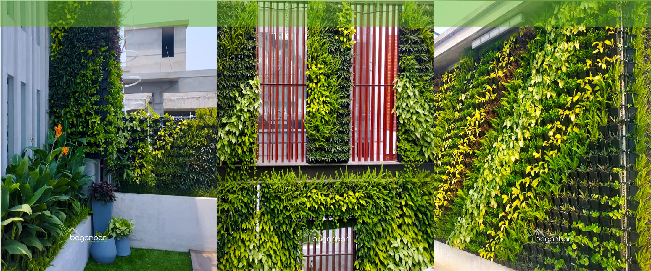 Vertical garden