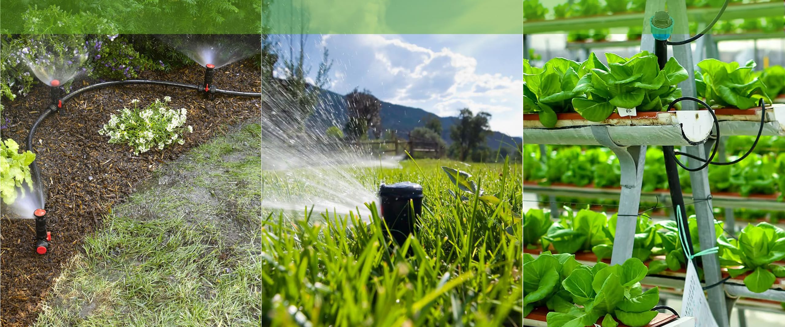 Drip Irrigation