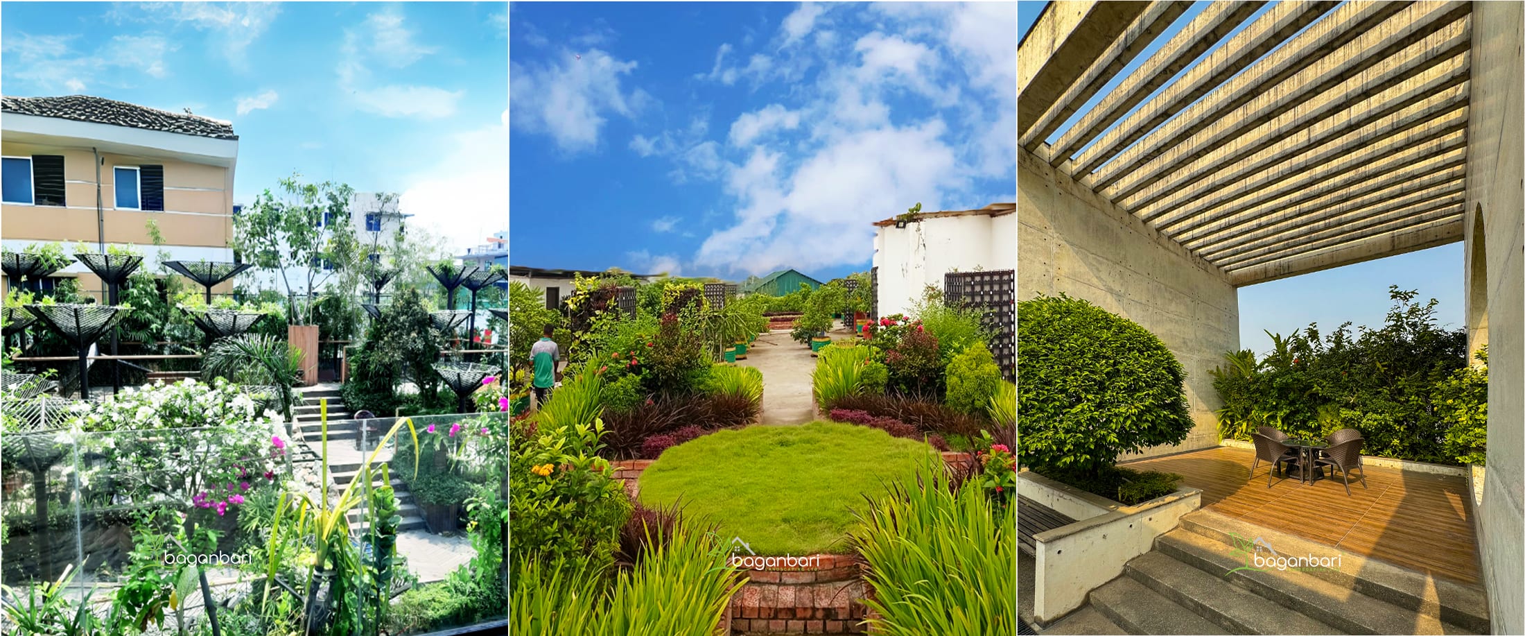 Rooftop Gardening