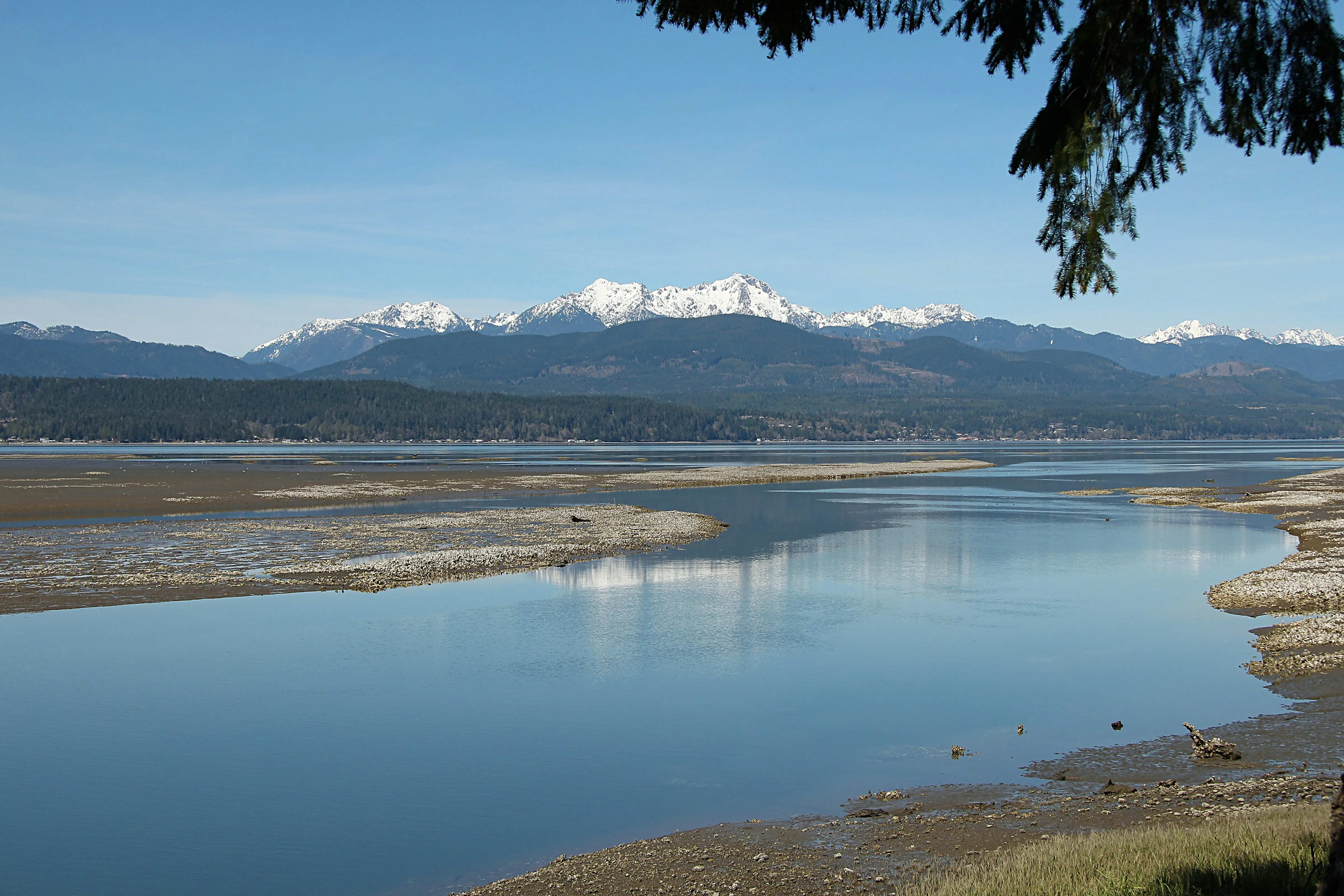 Hood Canal, Washington — A1CHARTERS group charter destination