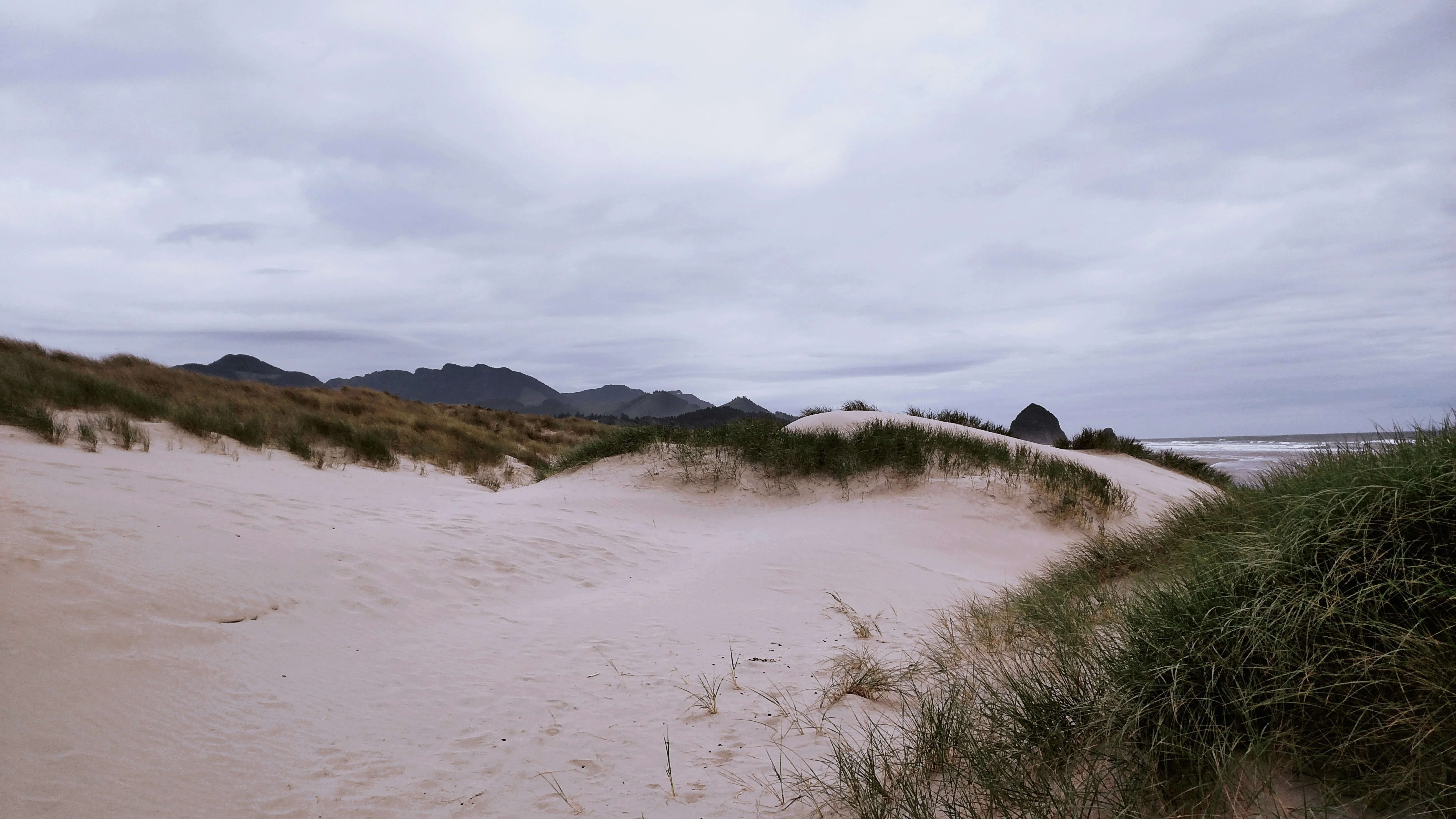 Cannon Beach, Oregon — photo 3 for A1CHARTERS group charter