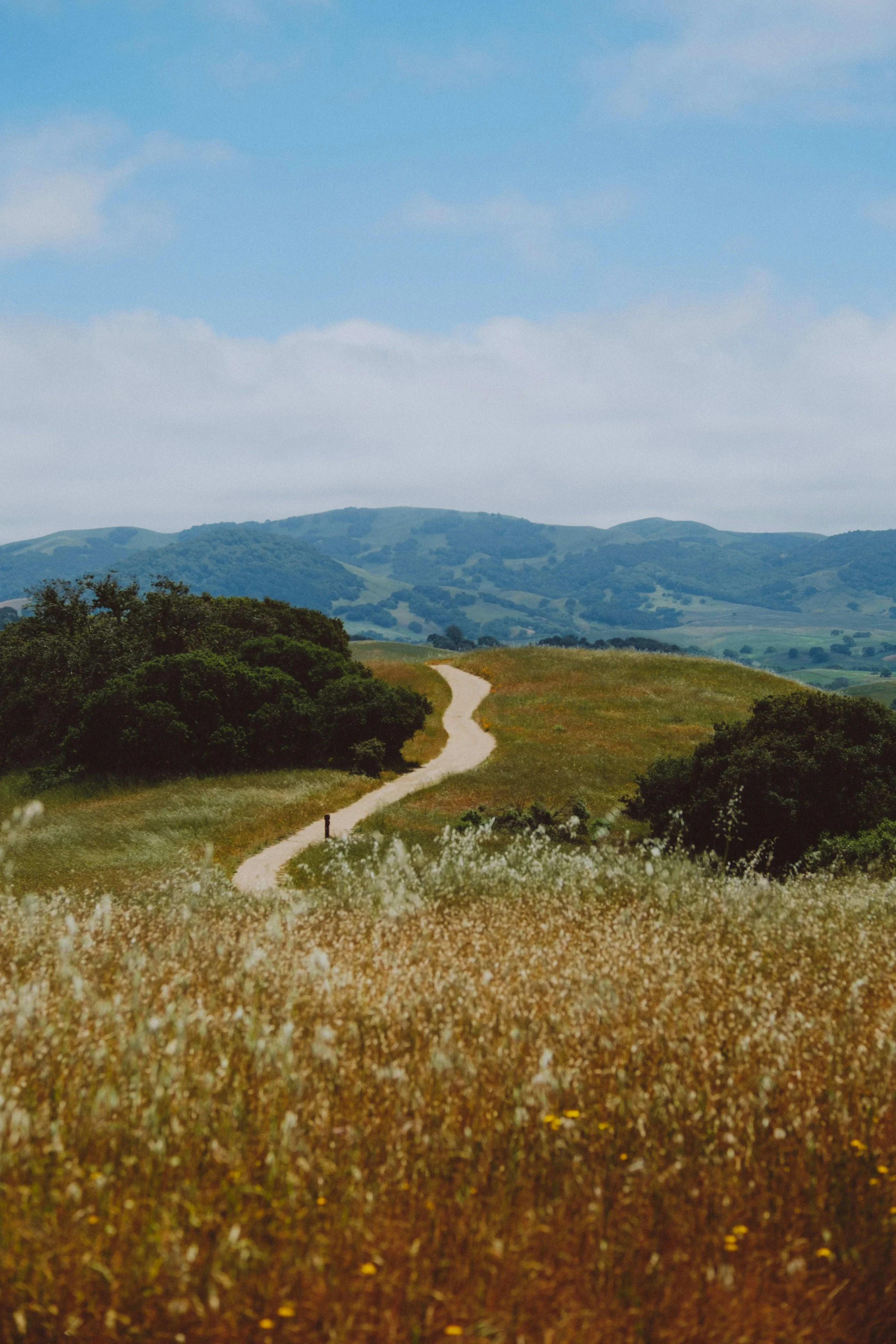 Sonoma Valley, California — scenic view for A1CHARTERS group charter