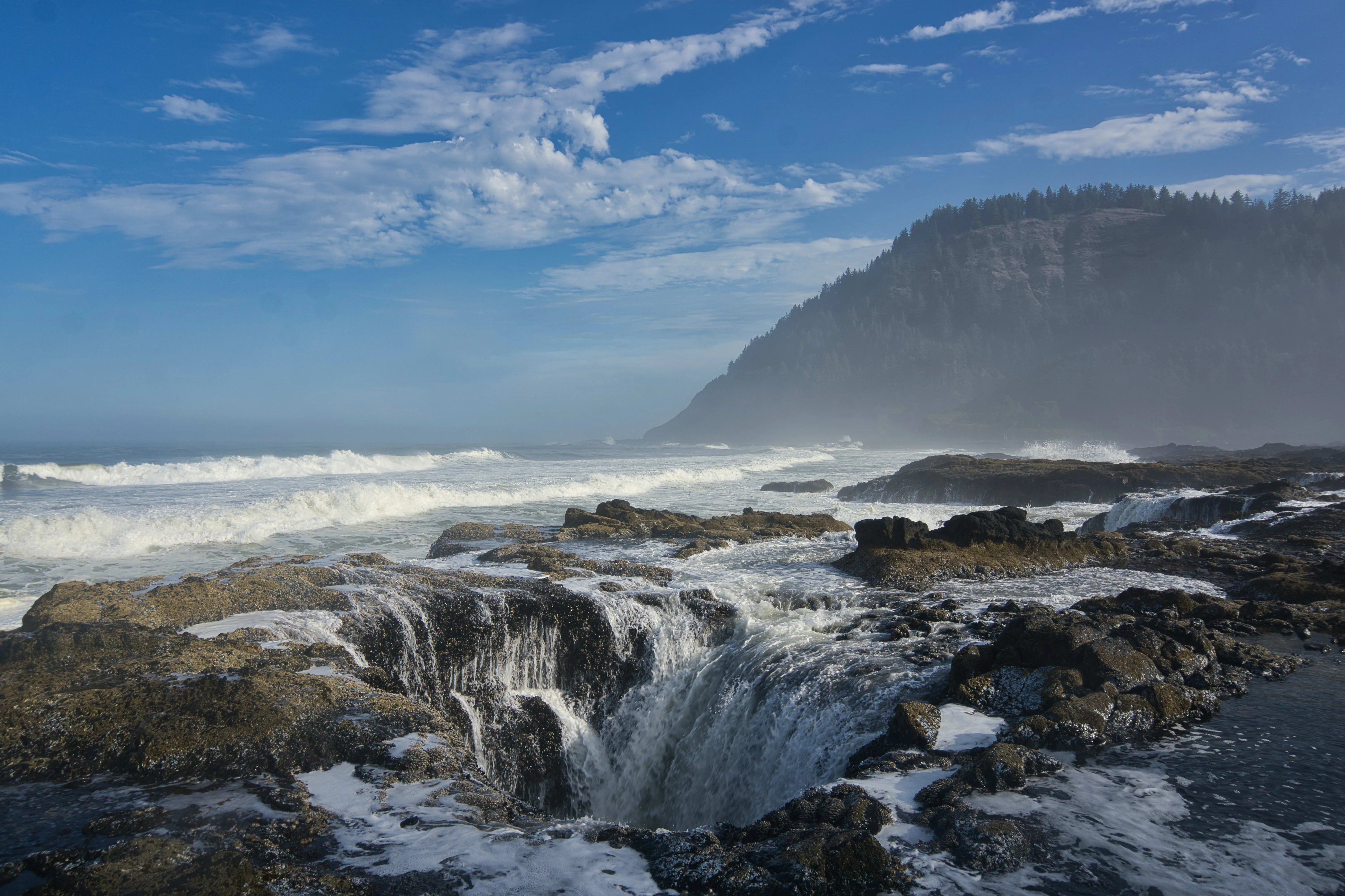 Oregon Coast, Oregon — photo 2 for A1CHARTERS group charter