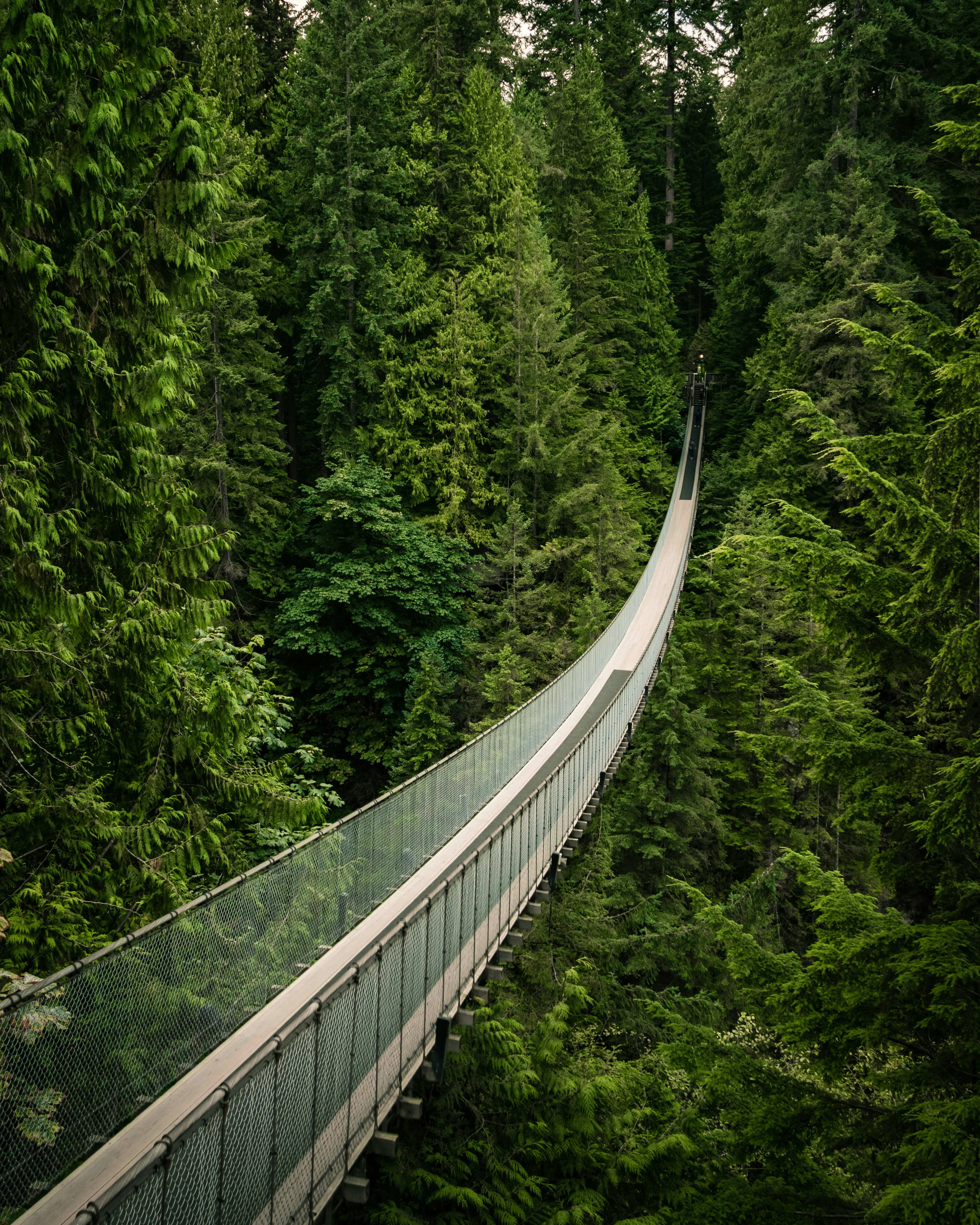 Vancouver, BC, British Columbia, Canada — scenic view for A1CHARTERS group charter