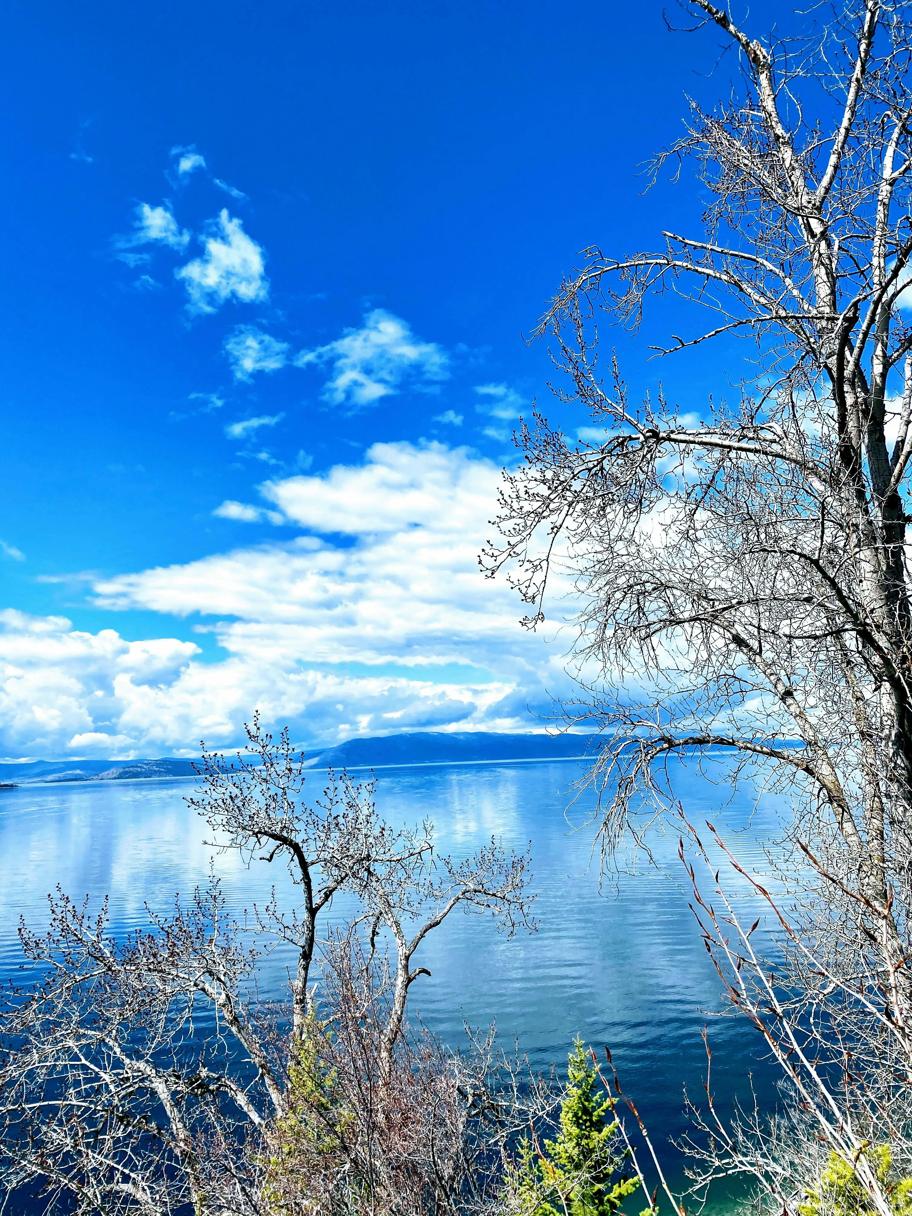 Flathead Lake, Montana — scenic view for A1CHARTERS group charter