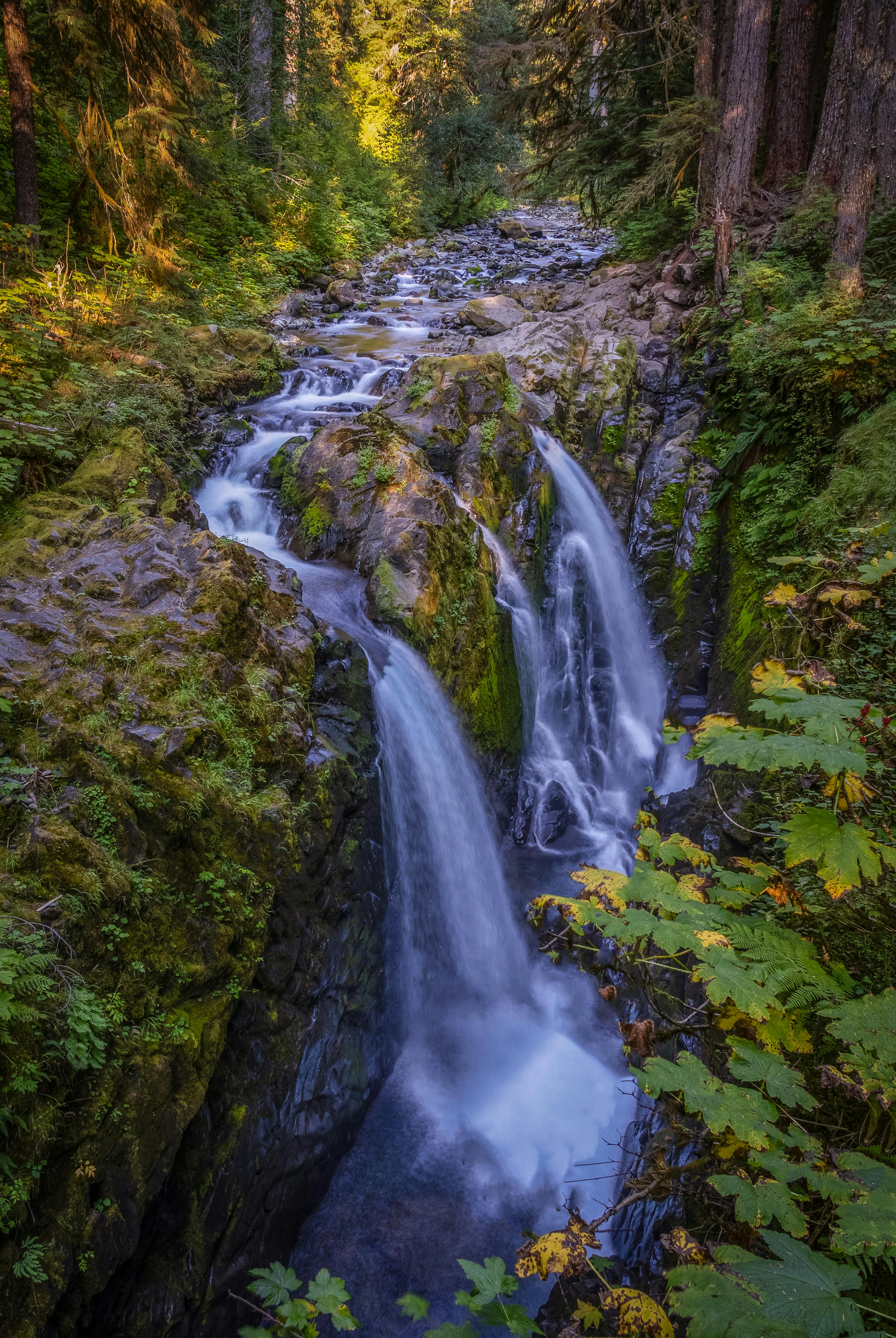 Olympic Peninsula, Washington — scenic view for A1CHARTERS group charter