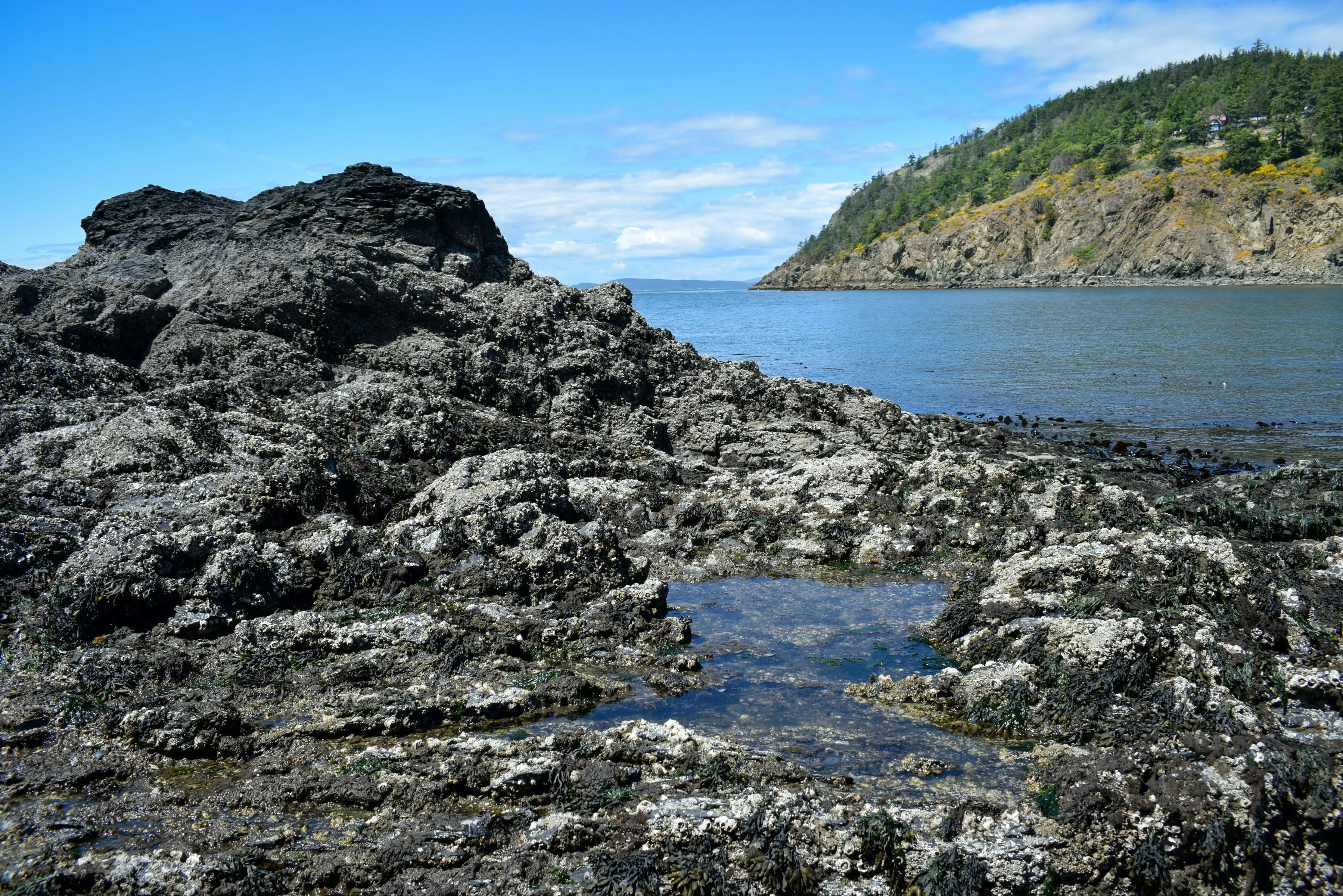 Whidbey Island, Washington — photo 2 for A1CHARTERS group charter