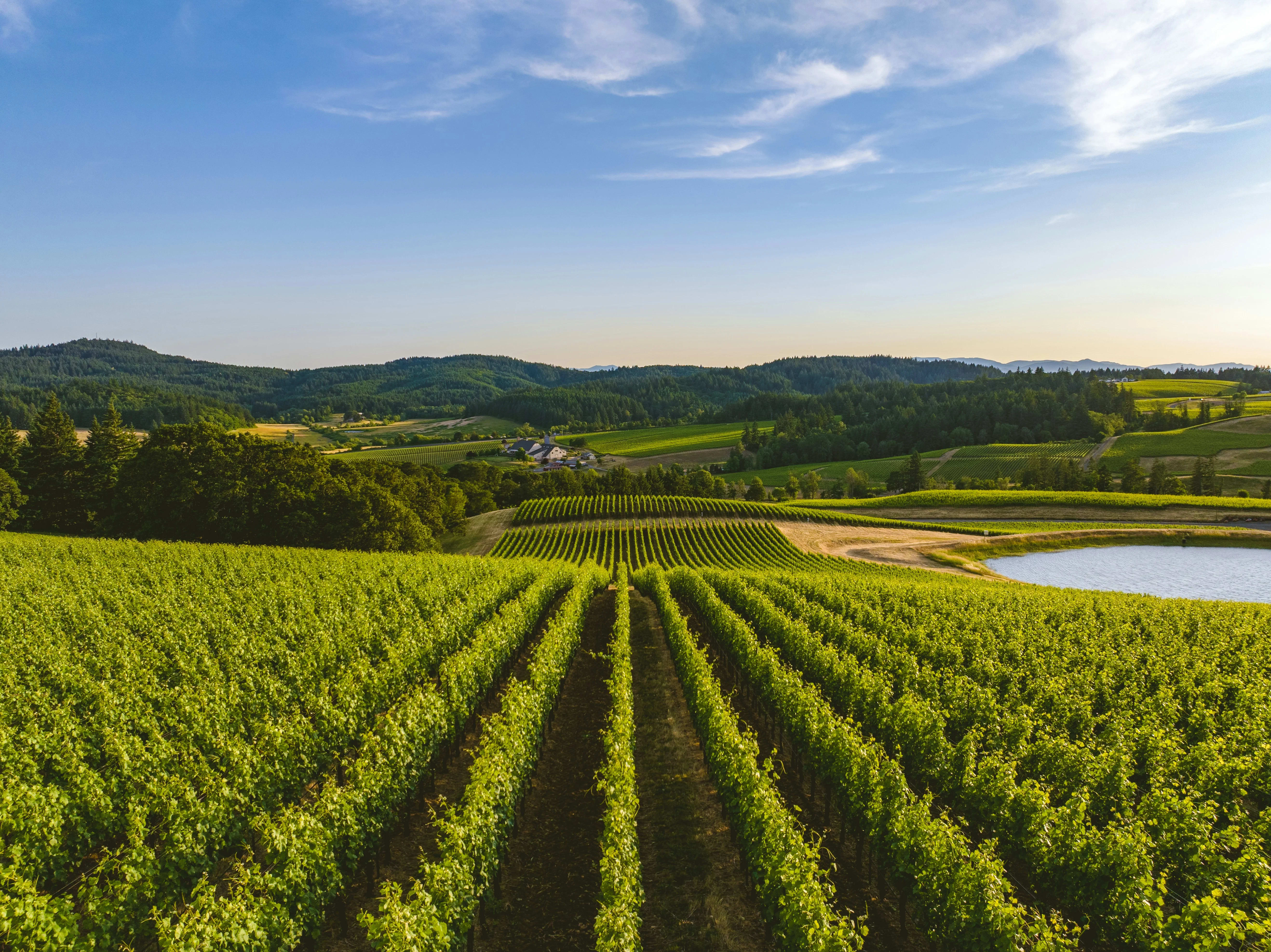 Willamette Valley, Oregon — A1CHARTERS group charter destination