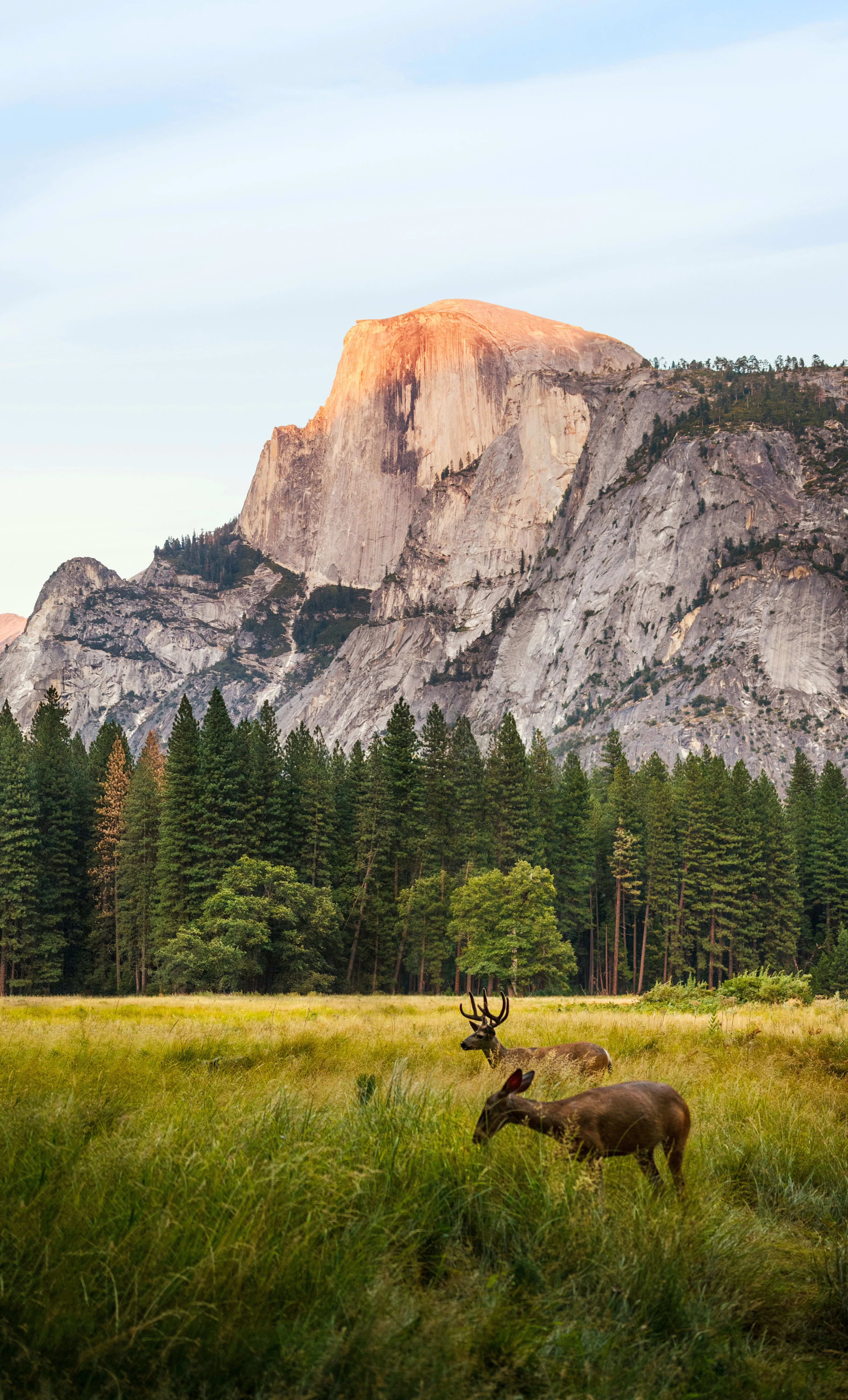 Yosemite Gateway, California — scenic view for A1CHARTERS group charter