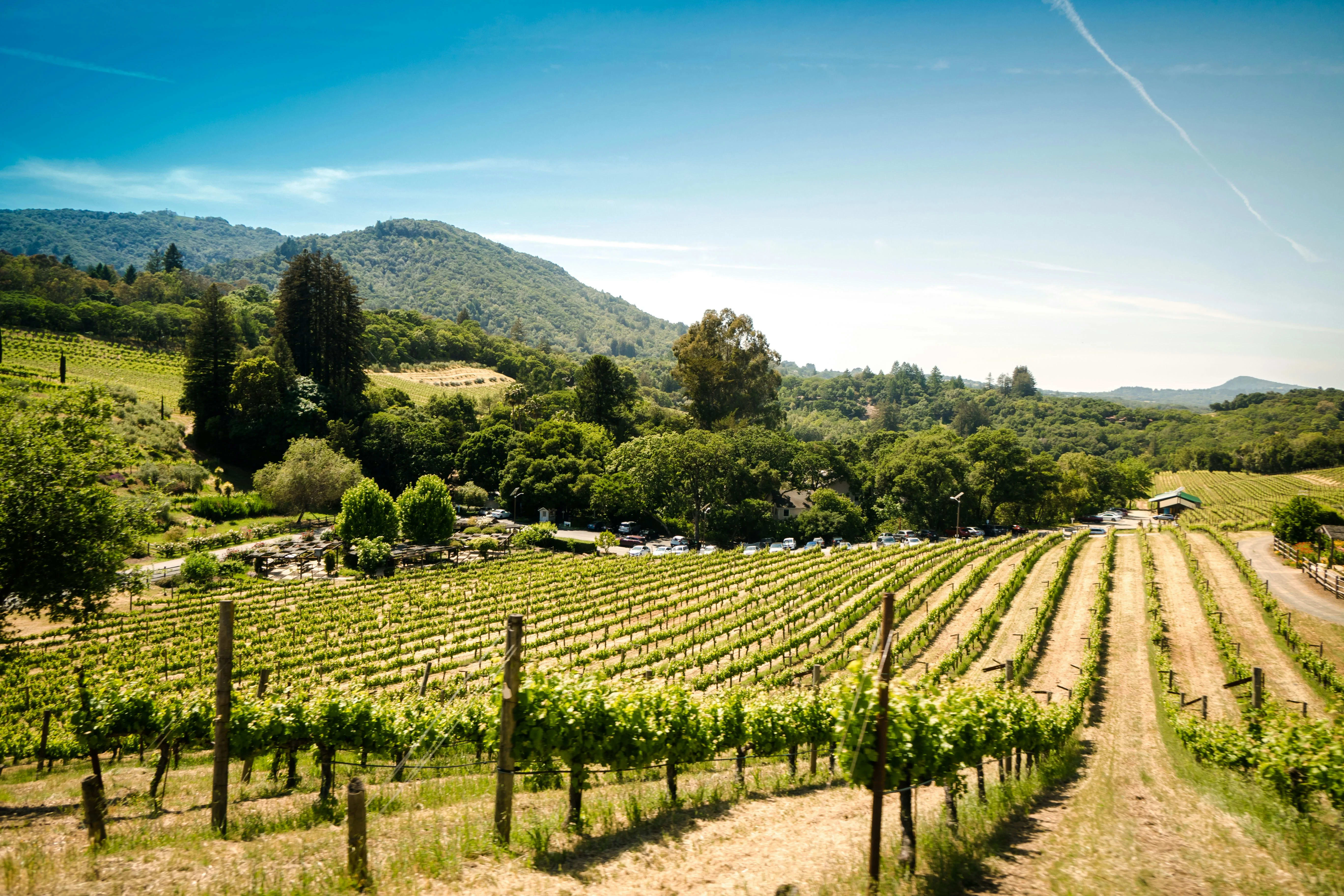 Sonoma Valley, California — A1CHARTERS group charter destination