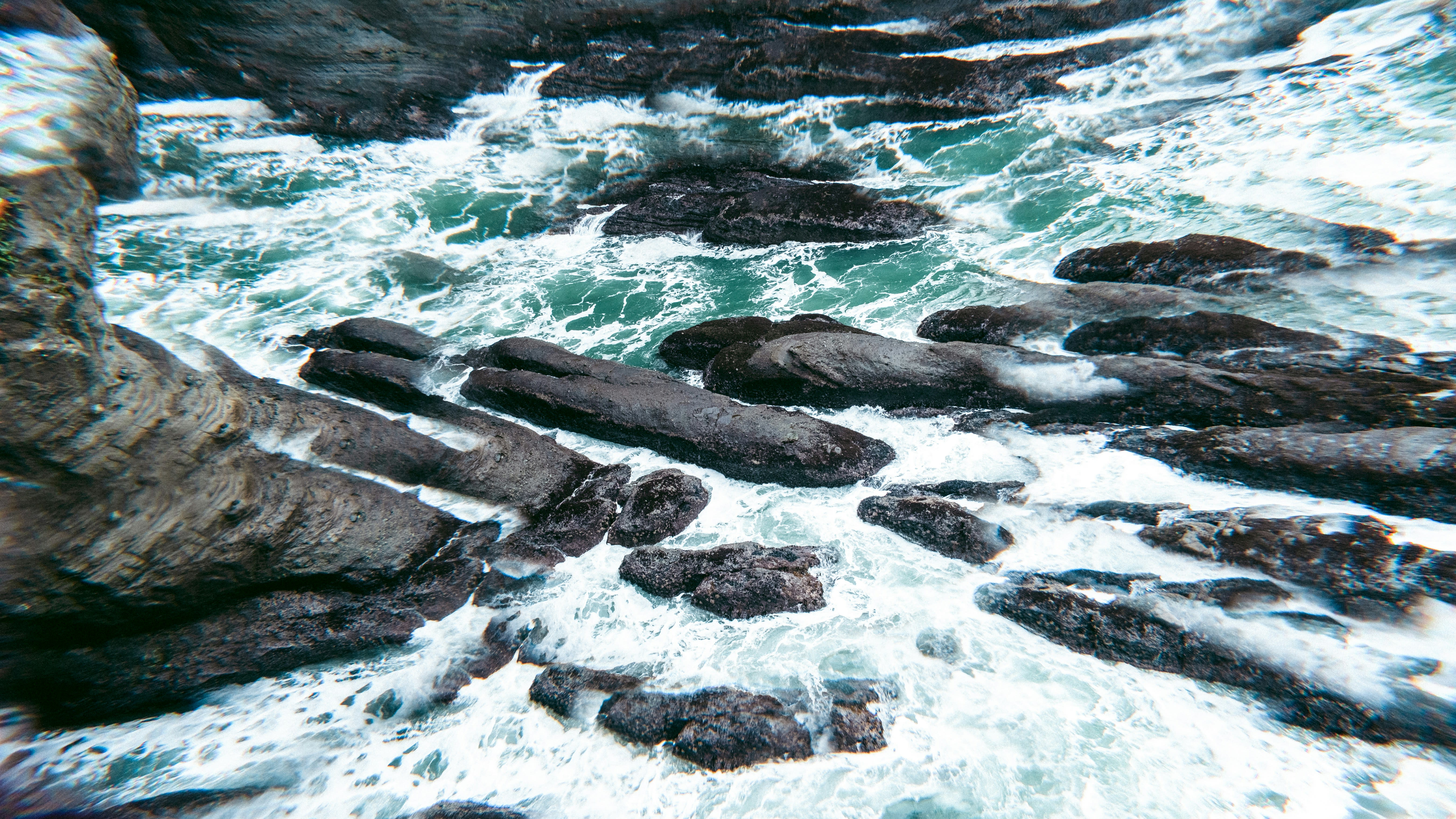 Olympic Peninsula, Washington — A1CHARTERS group charter destination