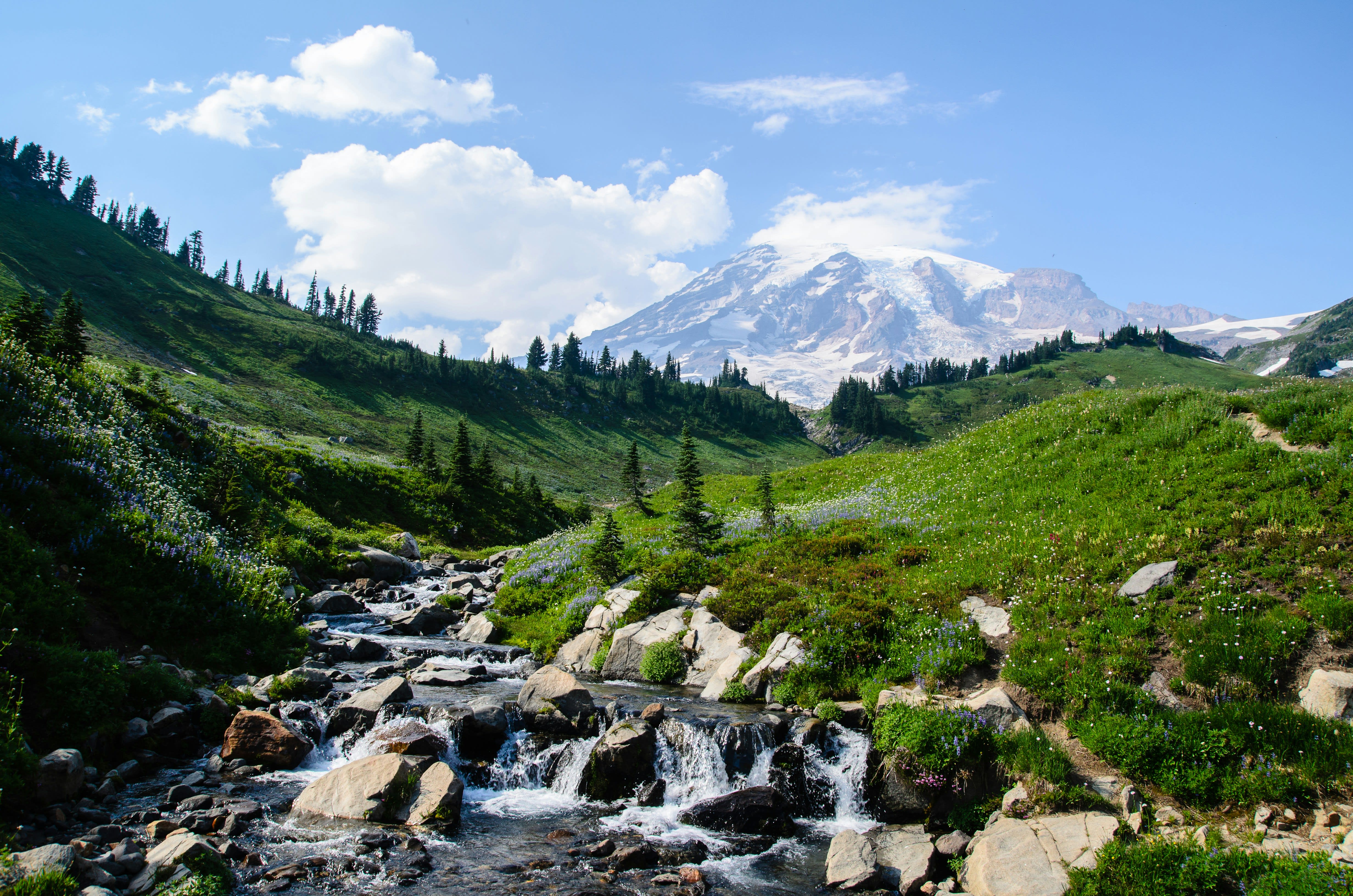 Mount Rainier, Washington — photo 2 for A1CHARTERS group charter