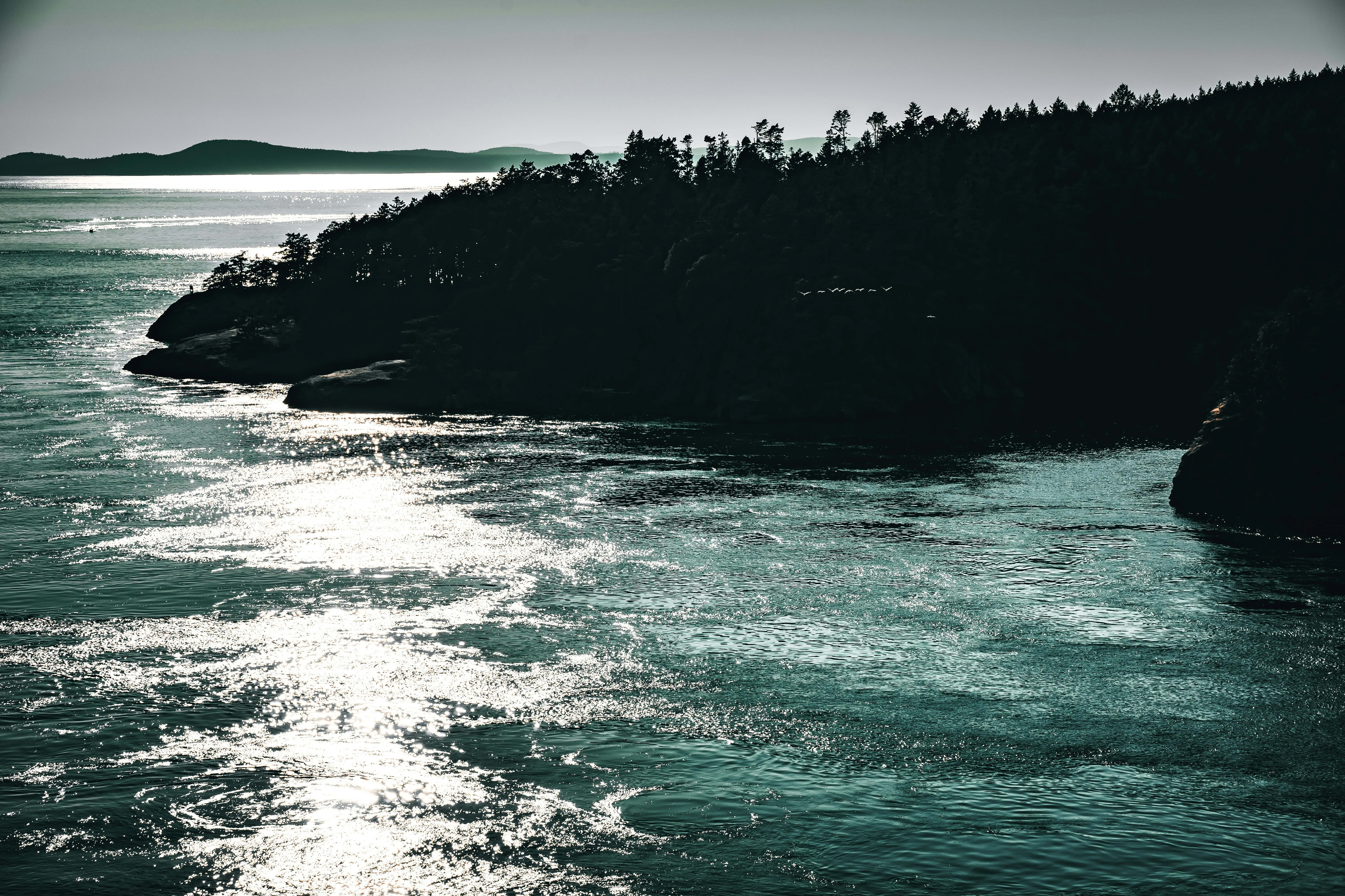 Whidbey Island, Washington — photo 3 for A1CHARTERS group charter