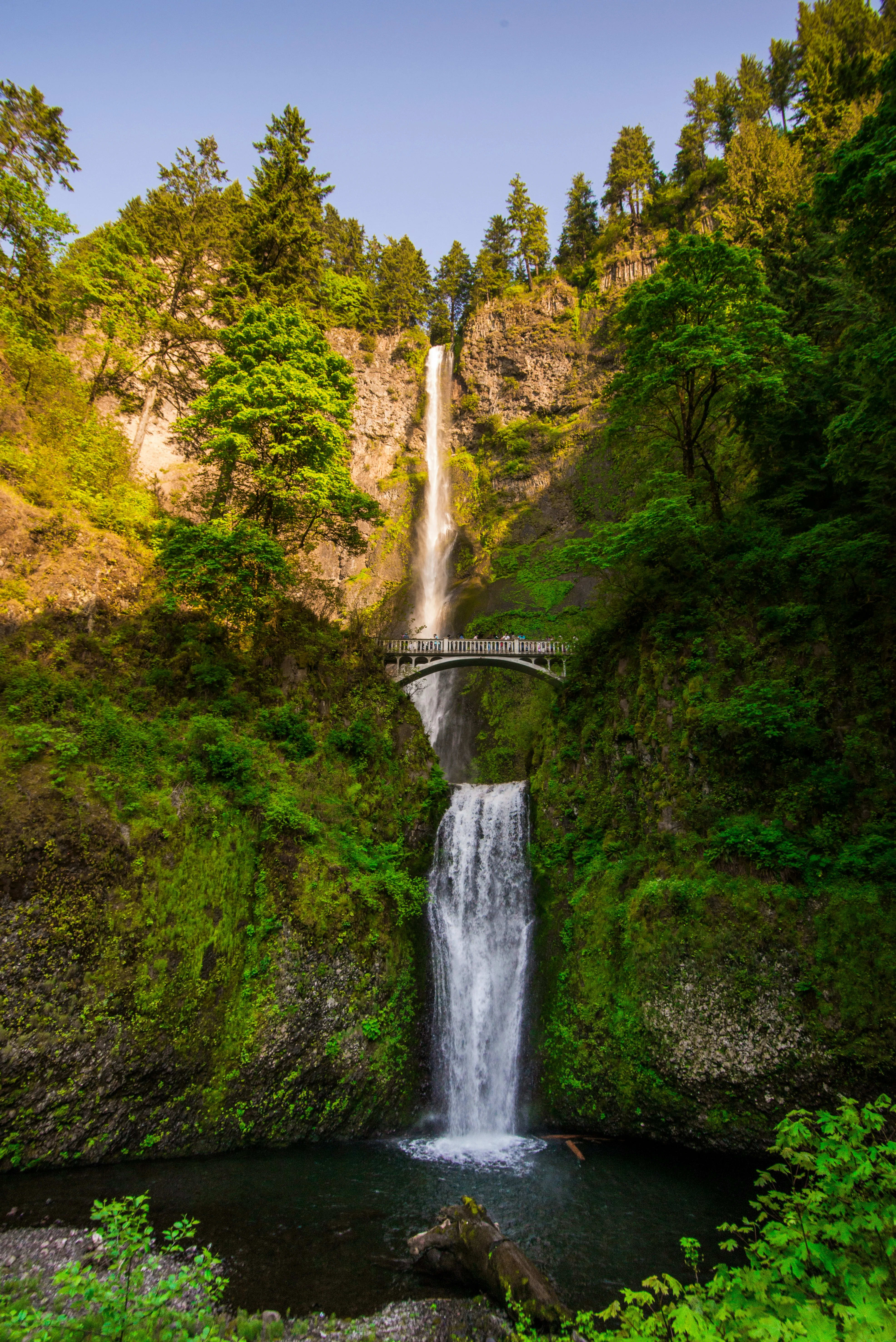 Columbia River Gorge, Oregon / Washington — scenic view for A1CHARTERS group charter