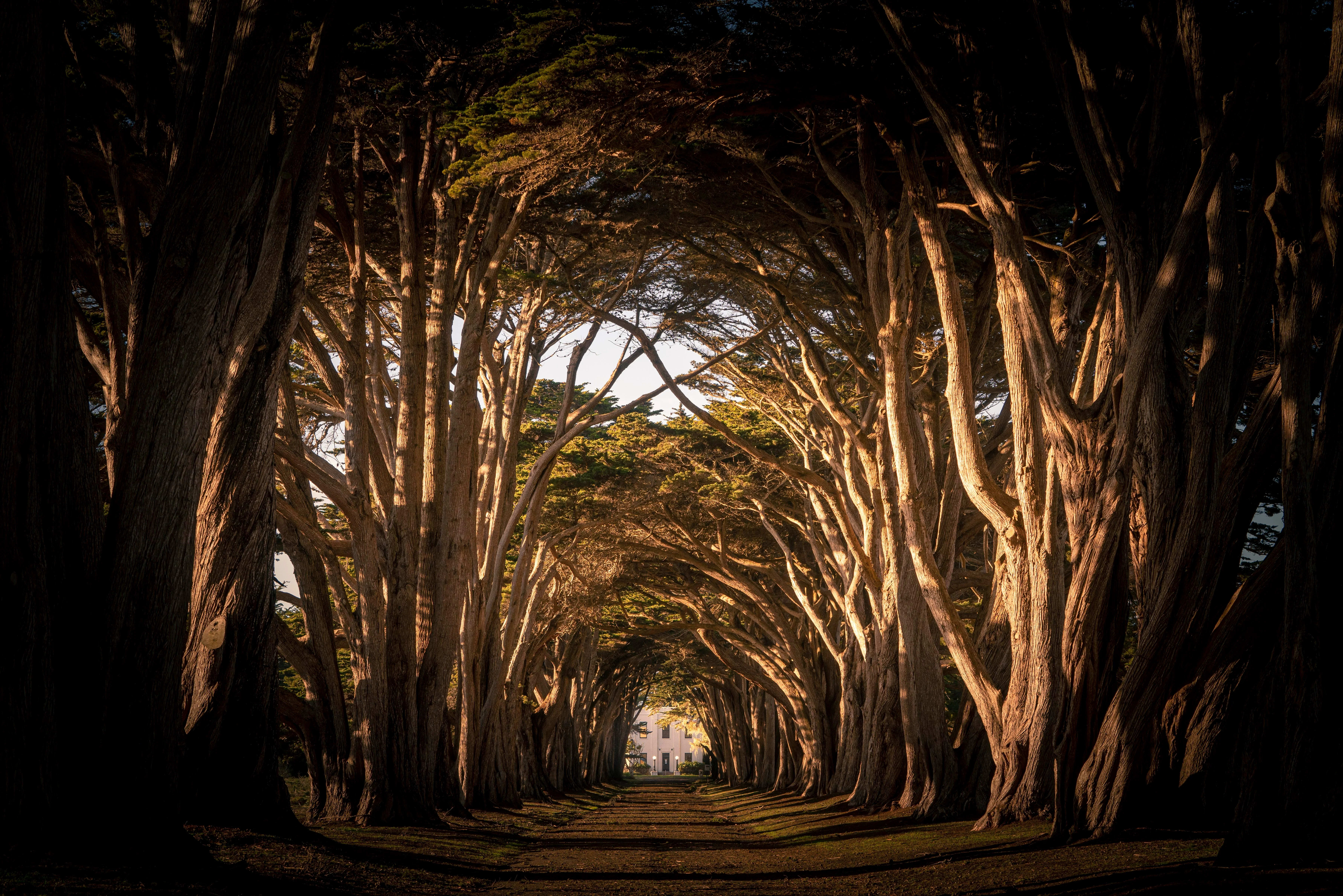 Point Reyes, California — A1CHARTERS group charter destination