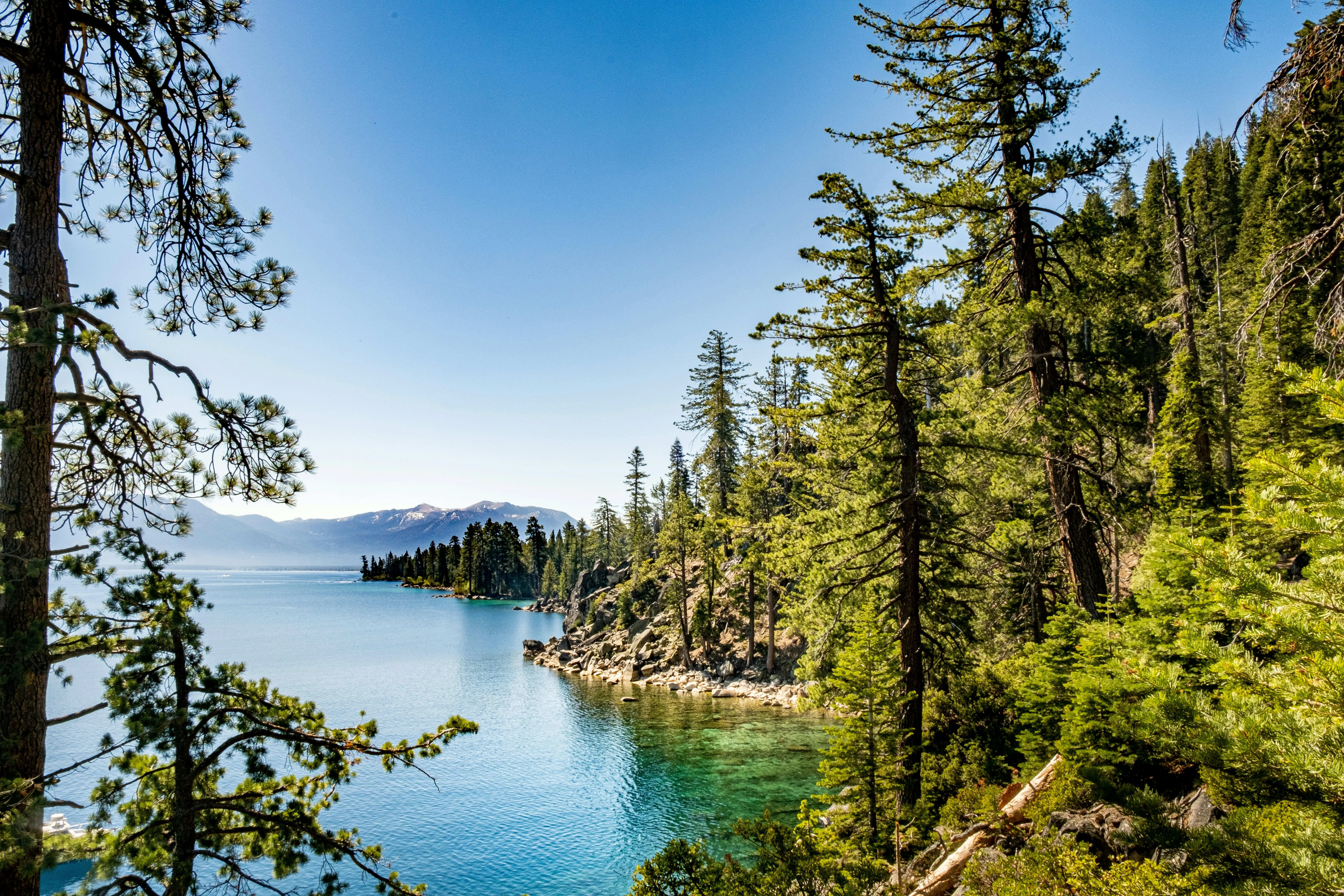 Lake Tahoe, California / Nevada — photo 3 for A1CHARTERS group charter