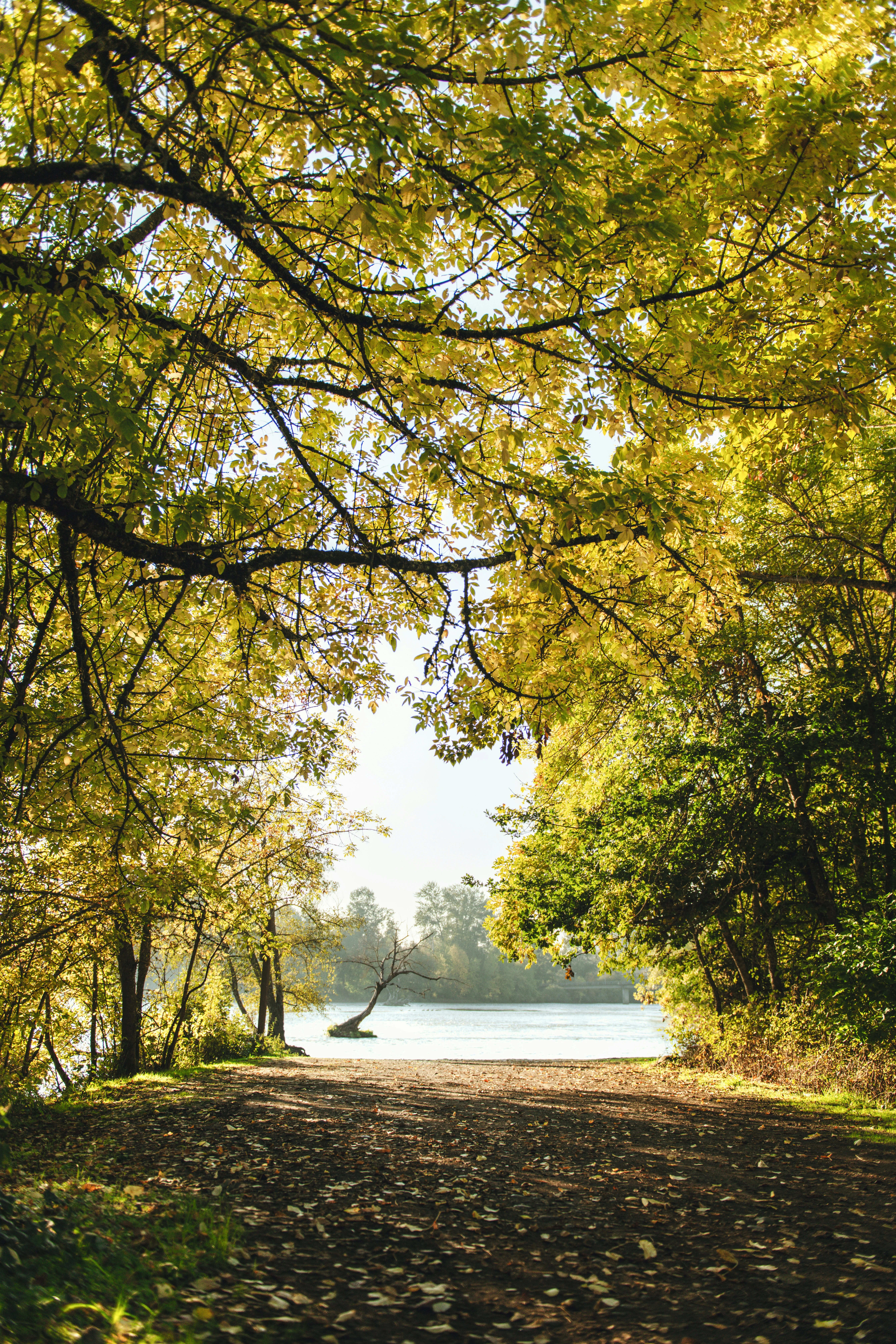 Eugene, Oregon — scenic view for A1CHARTERS group charter