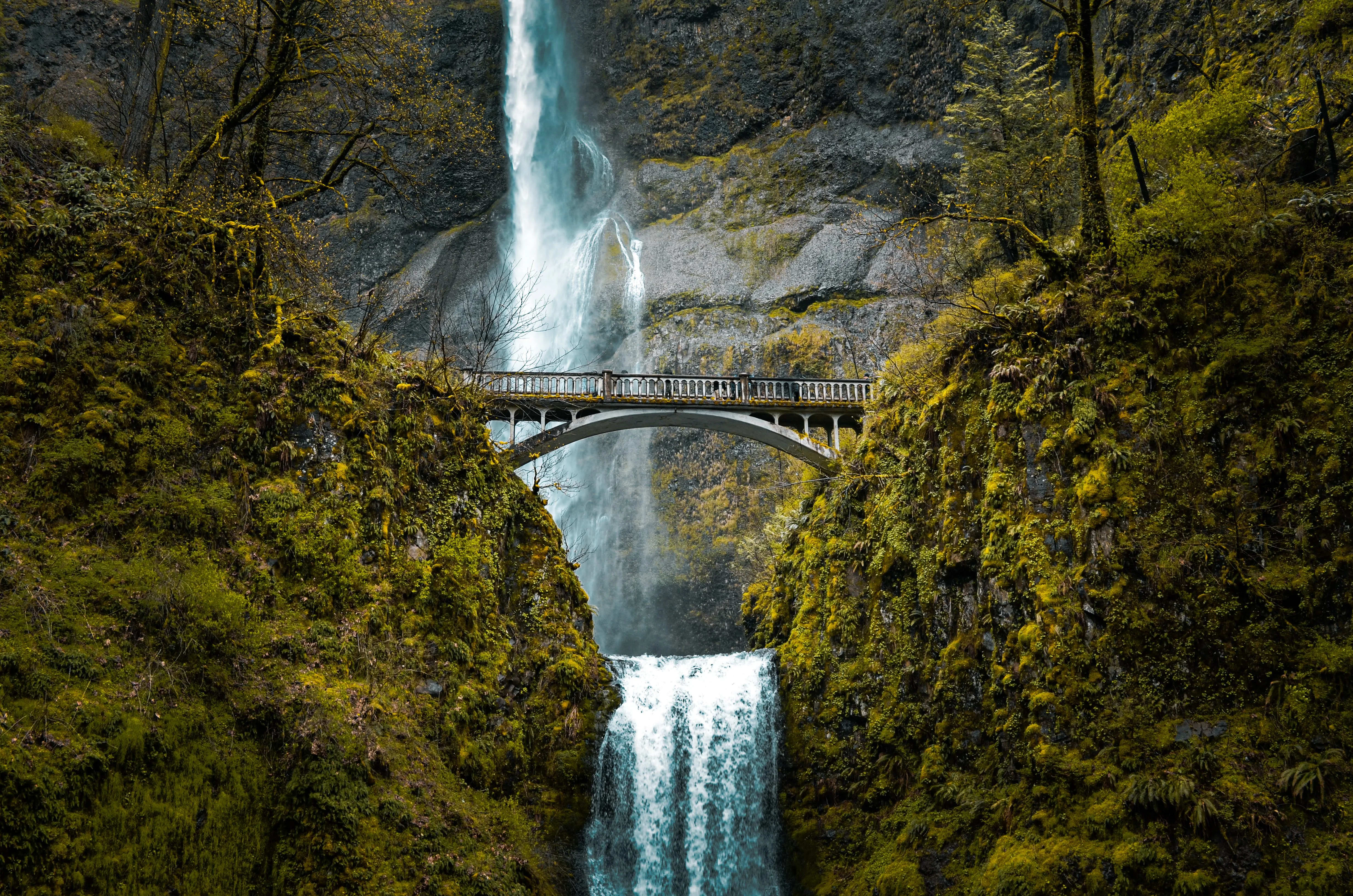 Aerial view of the Columbia River Gorge with mist rising over basalt cliffs and the Columbia River winding below