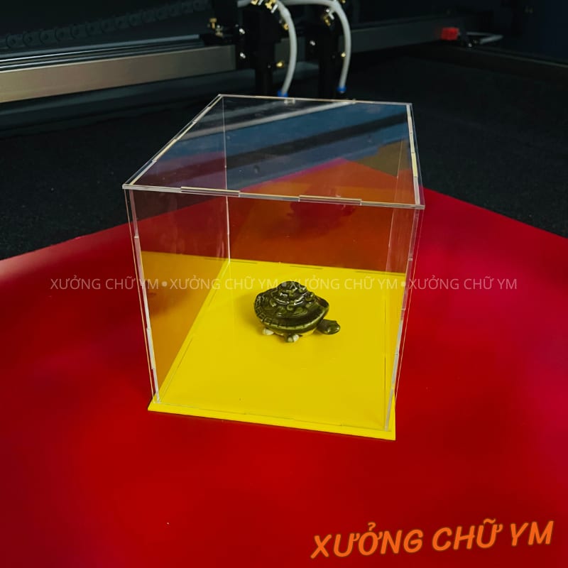 Hộp Mica Trong Suốt Lắp Ghép Trưng Bày Mô Hình – Nhiều Kích Thước, Dễ Dàng Lắp Ráp