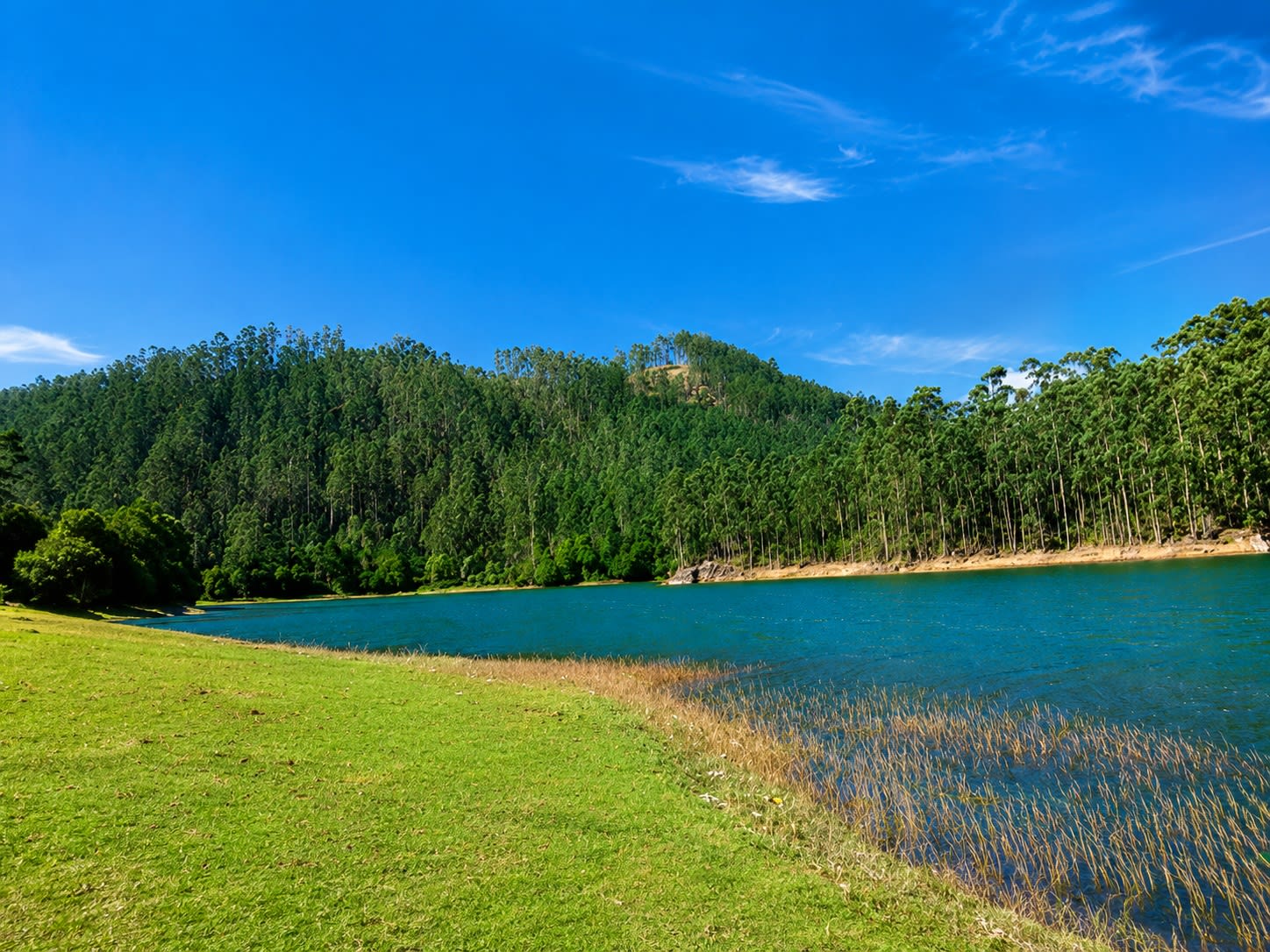 Scenic view of Echo Point Lake surrounded by green hills in Munnar, Kerala