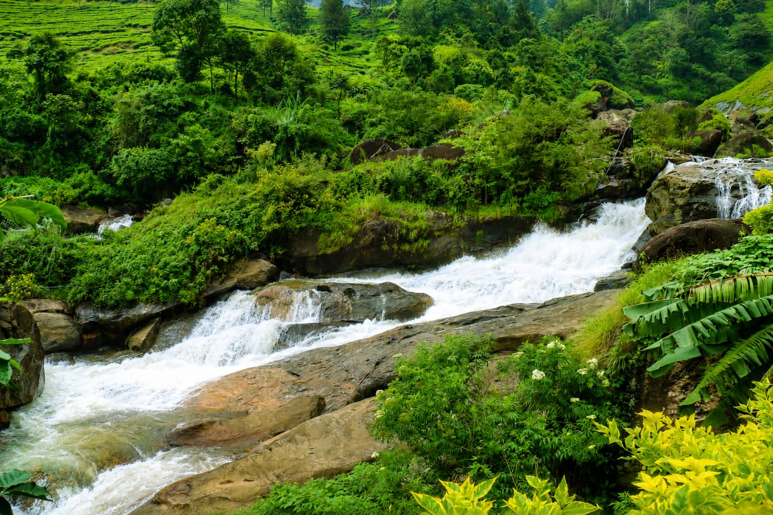 Attukad Waterfalls flowing through lush green hills in Munnar, Kerala