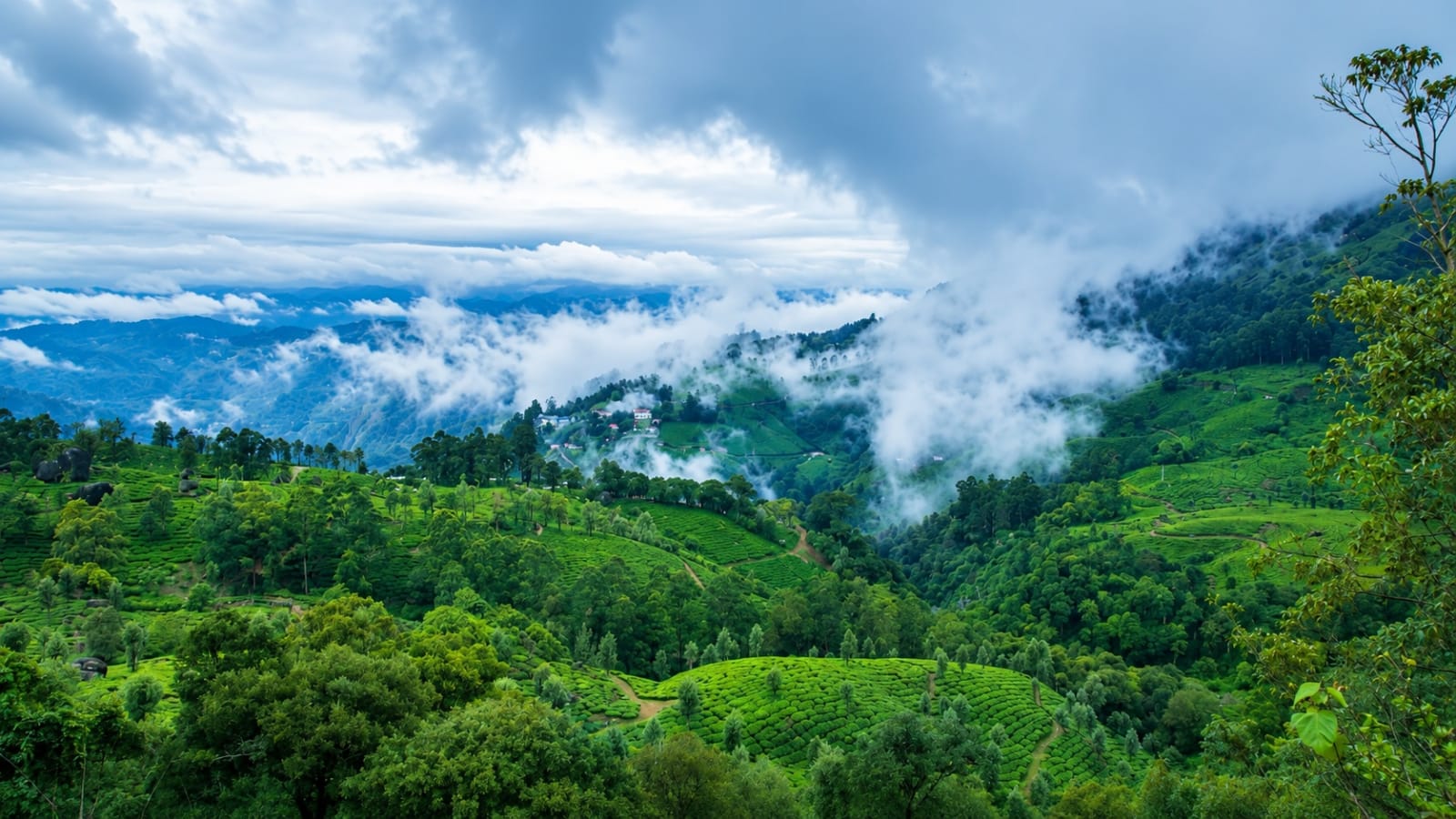 Panoramic view of Pothamedu Viewpoint overlooking tea plantations and misty hills in Munnar, Kerala
