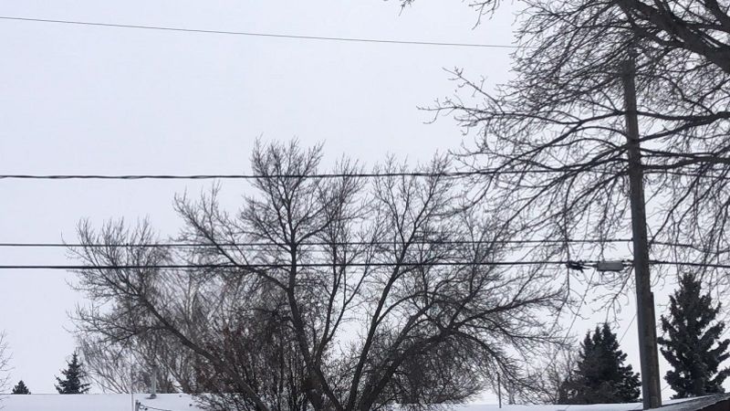 Winter storm causes power outages in the area, Kinistino and St. Brieux schools cancel classes