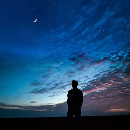Solitary twilight silhouette