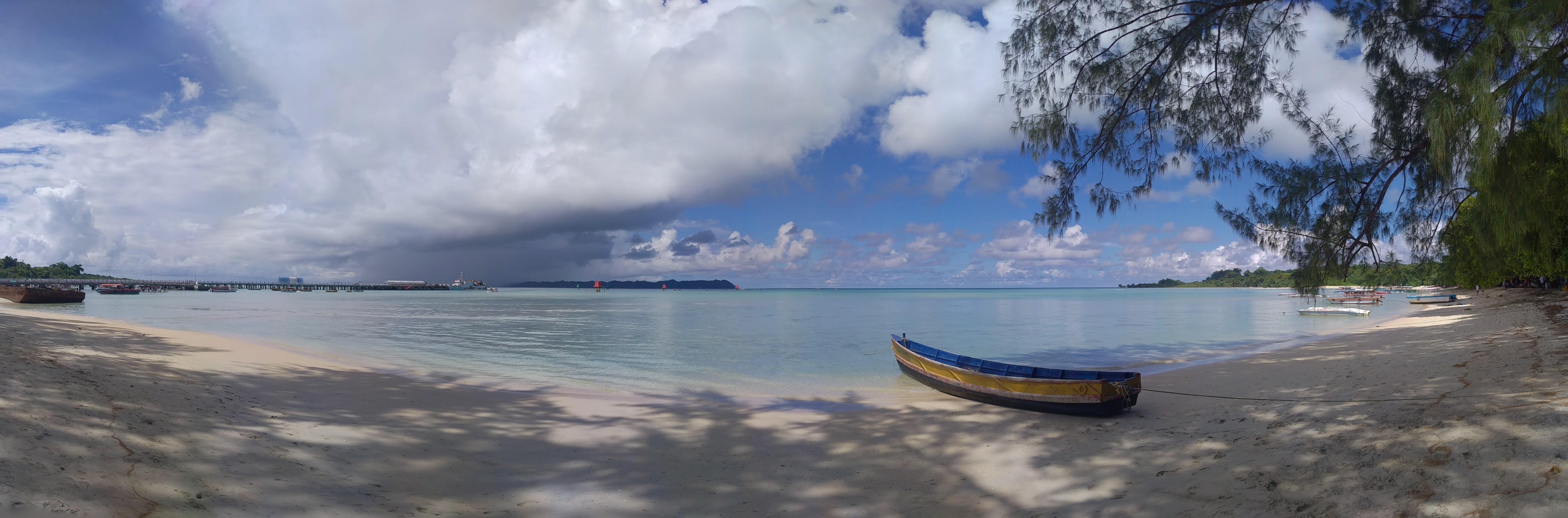 Sunlit tropical shoreline