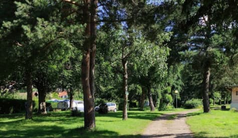 Camping du Haut-Koenigsbourg Onlycamp — 5