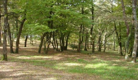Camping La Garenne — 5