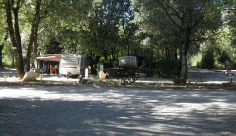 Le Sous Bois — 4