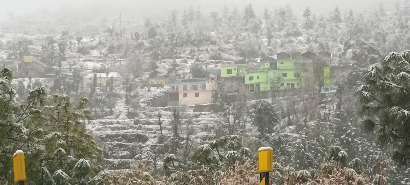 Scenic View Homestay w/ Tasty Food, HP in Namhol, HP 1