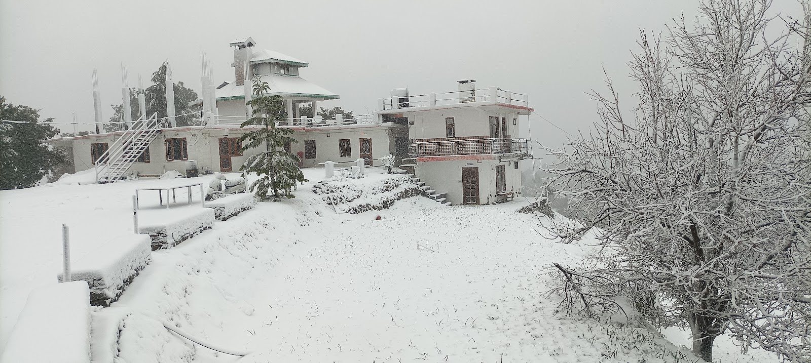 Farmstay w/ Homely Food & Treks, HP in Rajgarh, HP 5