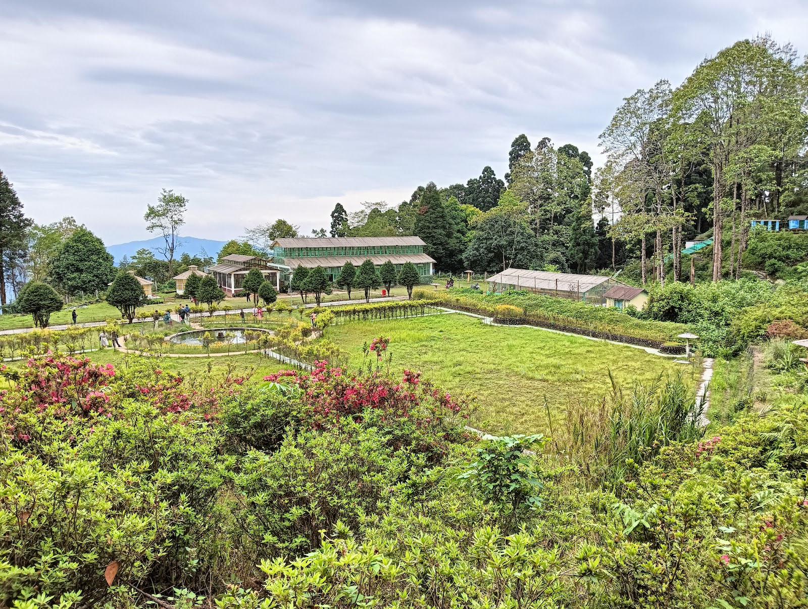 Your Sanctuary in the Woods where serenity awaits in Takdah 2