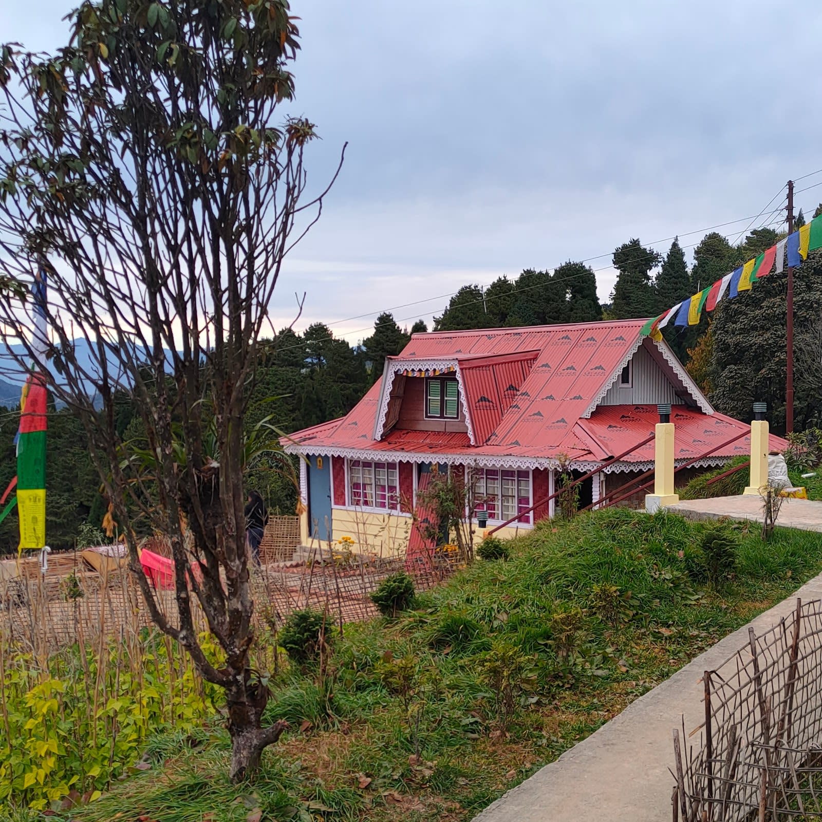 Serene Forest View Homestay in Tukdah in Takdah 2