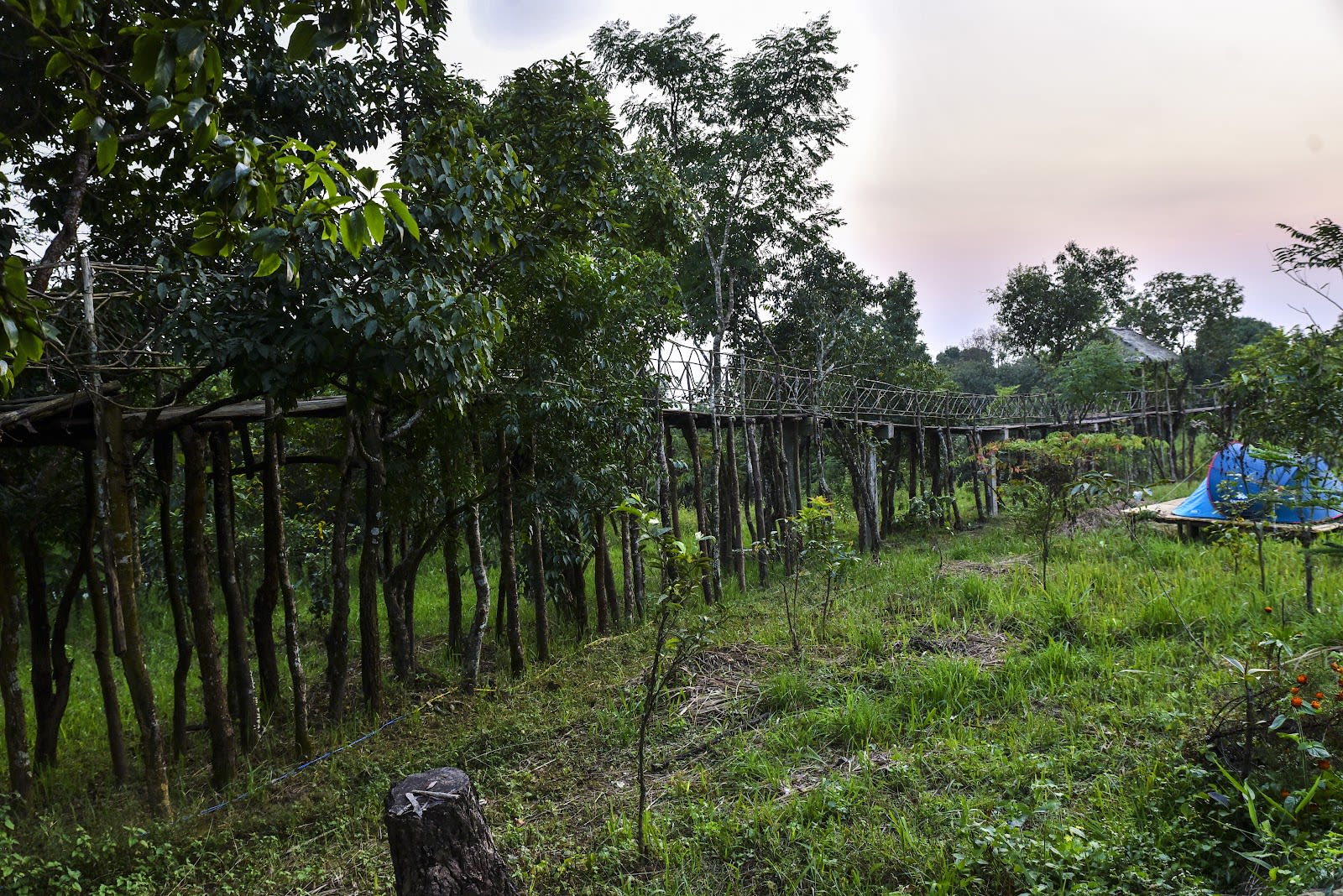 Secluded Jungle Retreat in Shillong 8