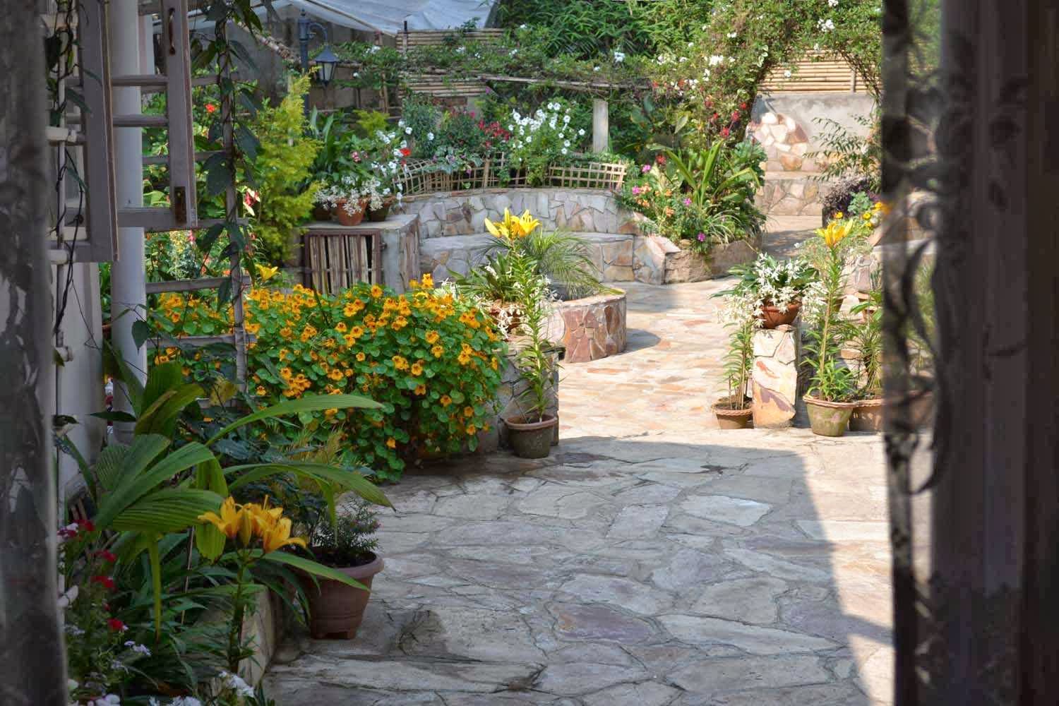 Colonial Charm Homestay: Vintage Luxury in Shillong 2