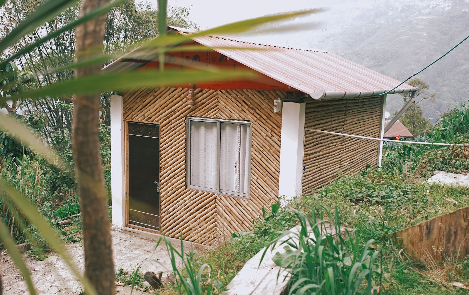 Offbeat Darjeeling Escape for Nature Lovers in Darjeeling 2