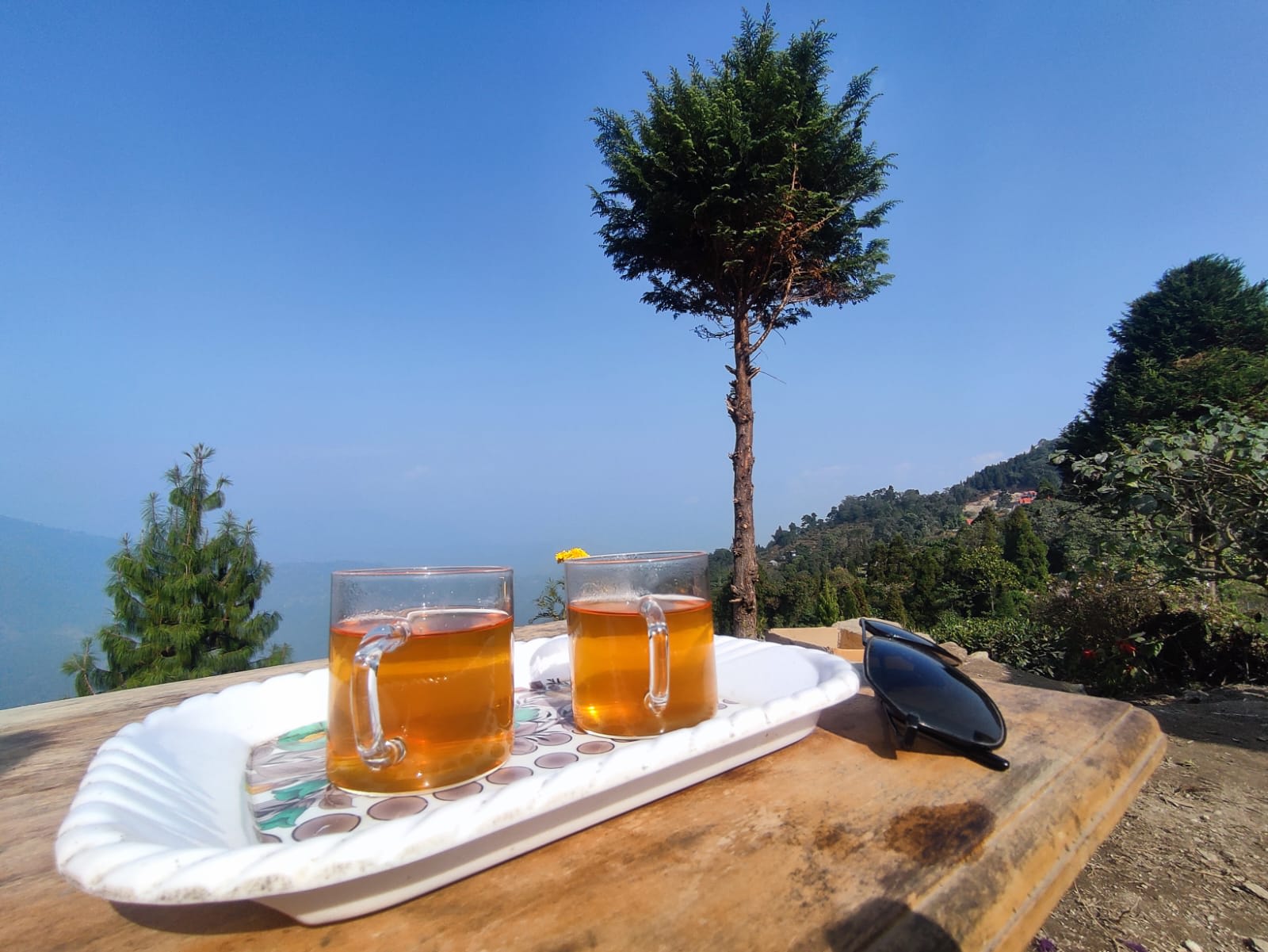 Blending modern comforts with traditional charm. in Darjeeling 8